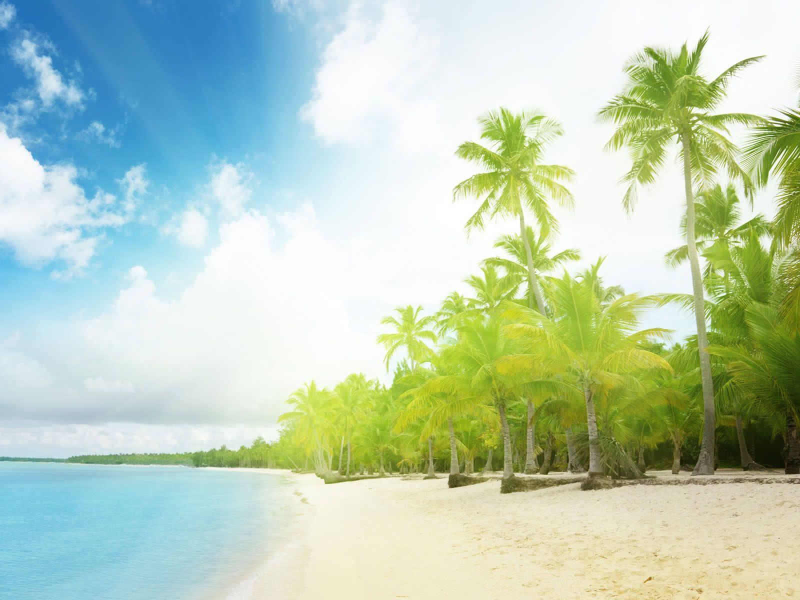 1600x1200 Summer Background Wallpaper 1600x1200