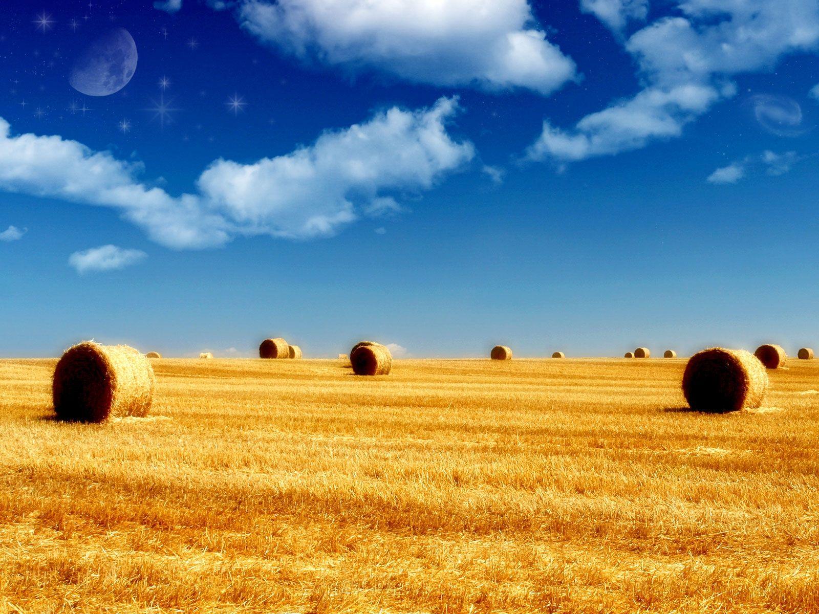 1600x1200 Free download Summer Wallpaper Best Wallpaper [1600x1200]