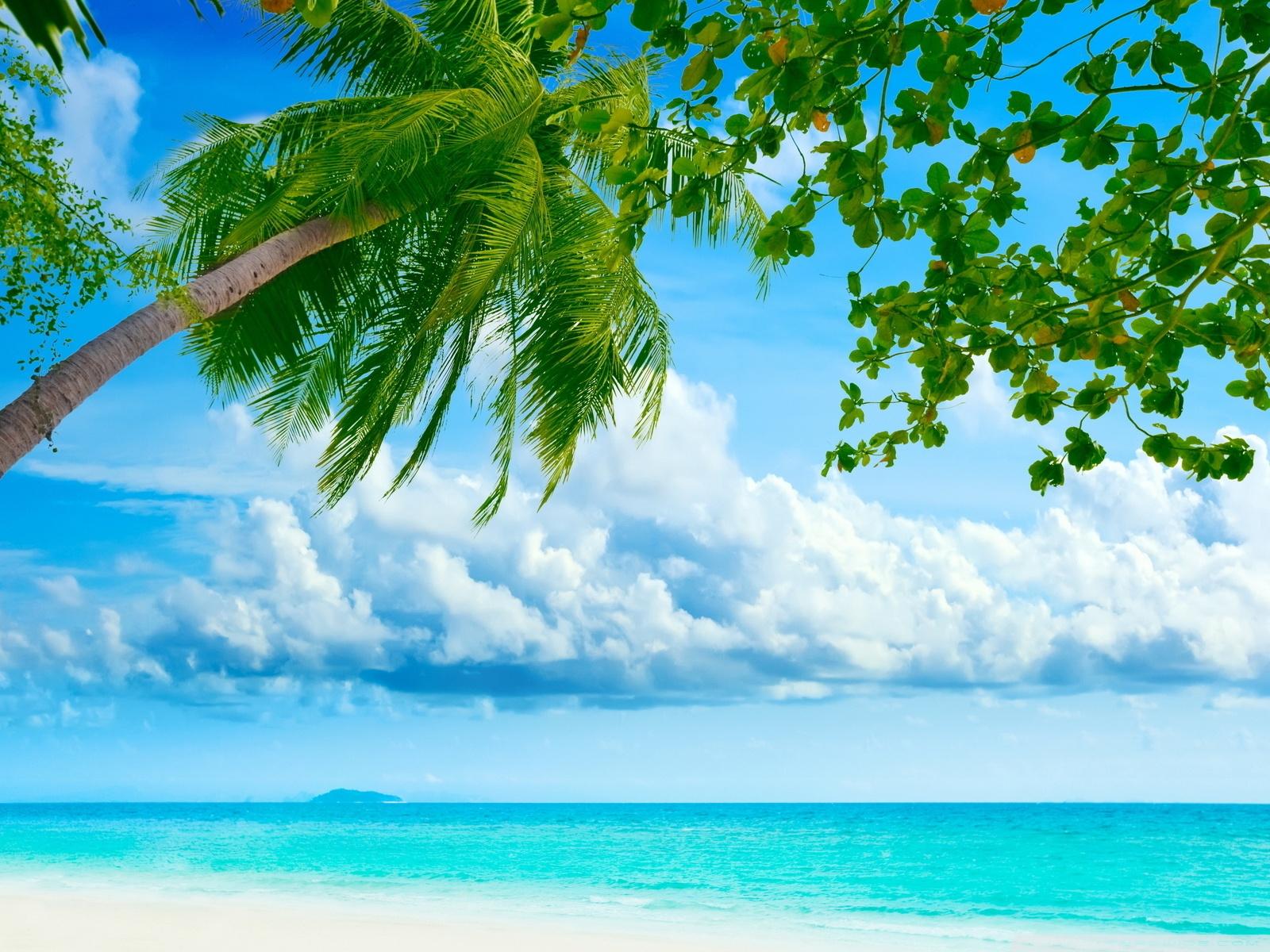 1600x1200 886PWI5 Tropical Beach Picture Wallpaper 1600x1200 px