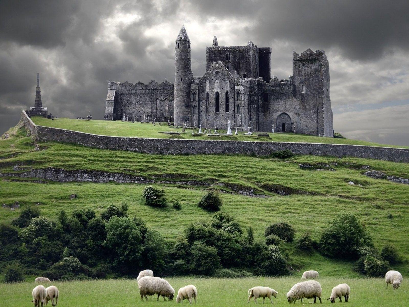 1600x1200 Nature castles sheep medieval wallpaperx1200