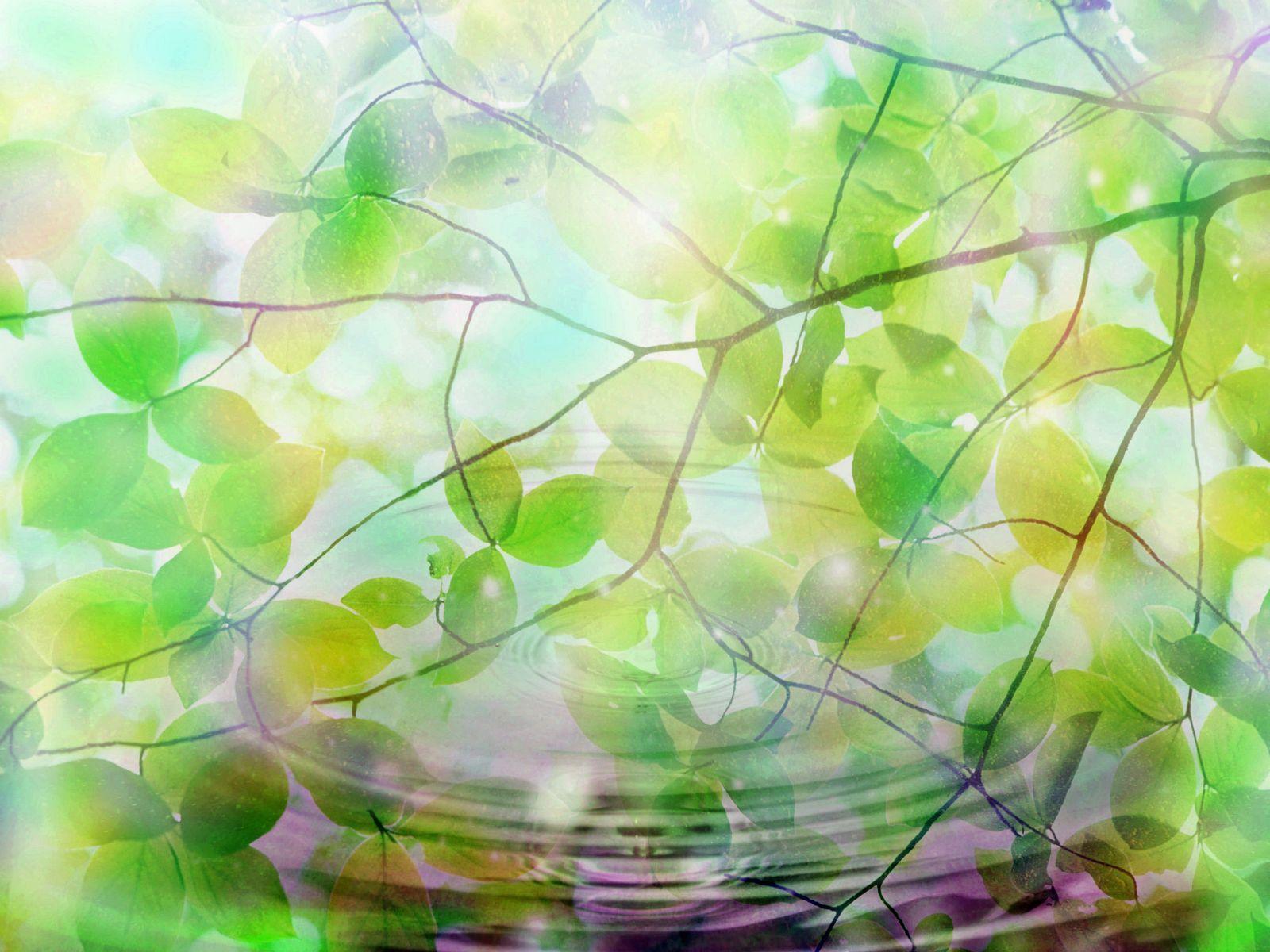 1600x1200 Summer Desktop Background