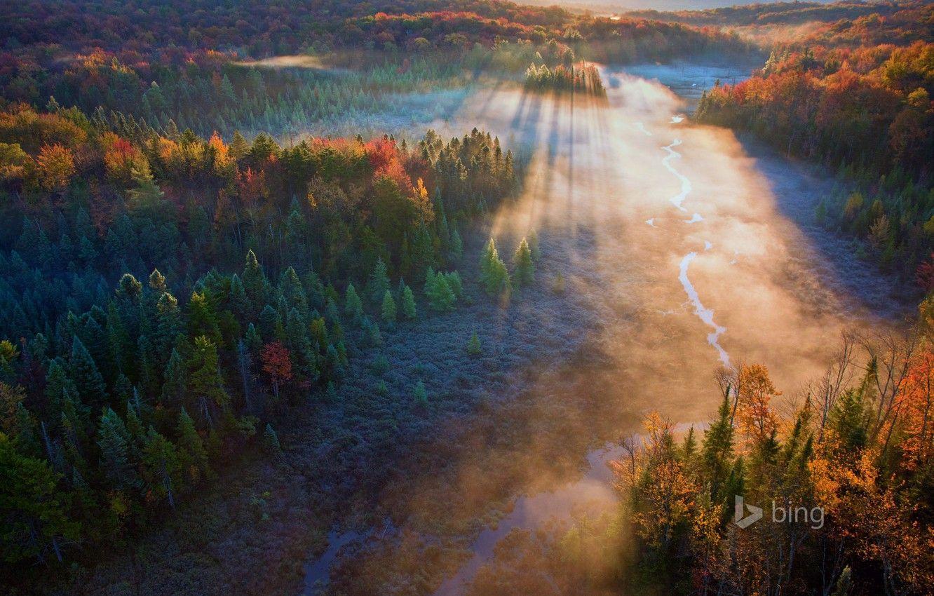 1332x850 Wallpaper autumn, forest, rays, trees, sunset, river, USA, Vermont