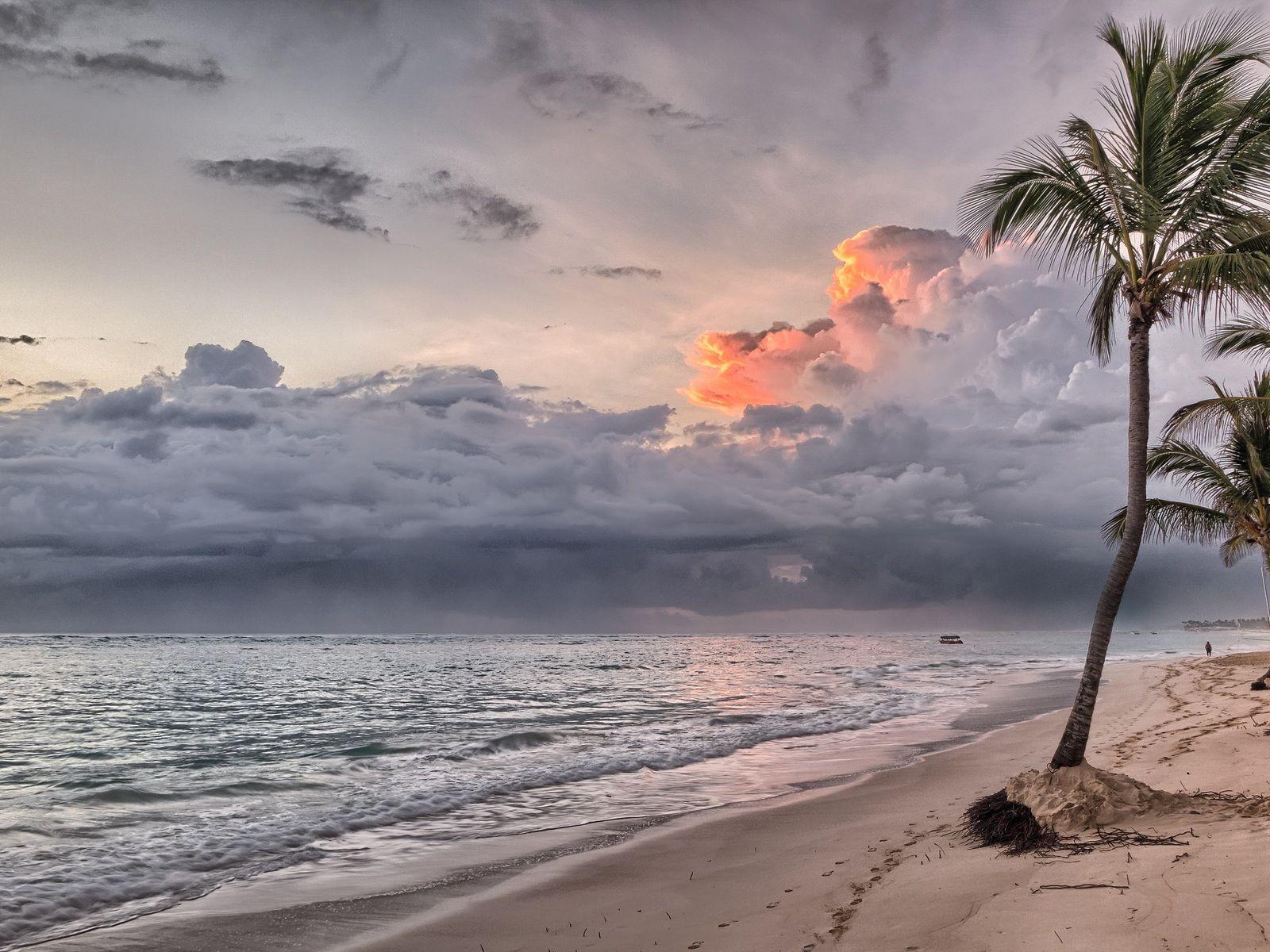1600x1200 Beach Summer Ocean Trees Wind Flowing 1600x1200