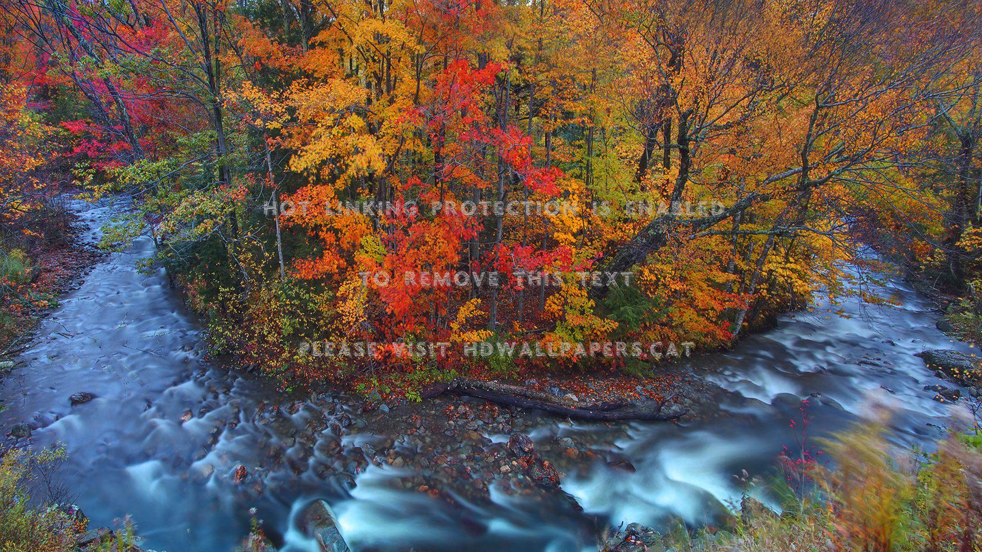 1920x1080 river horseshoe bend in a vermont autumn