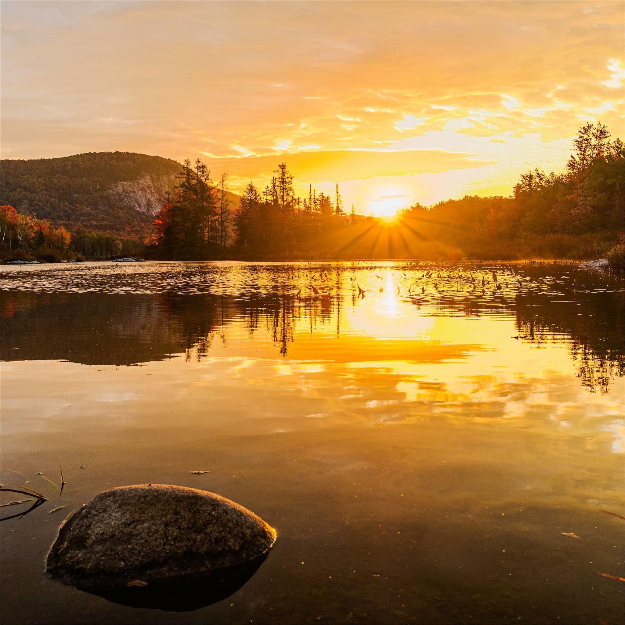 2048x2048 groton state forest vermont 4k iPad Air Wallpaper Free Download
