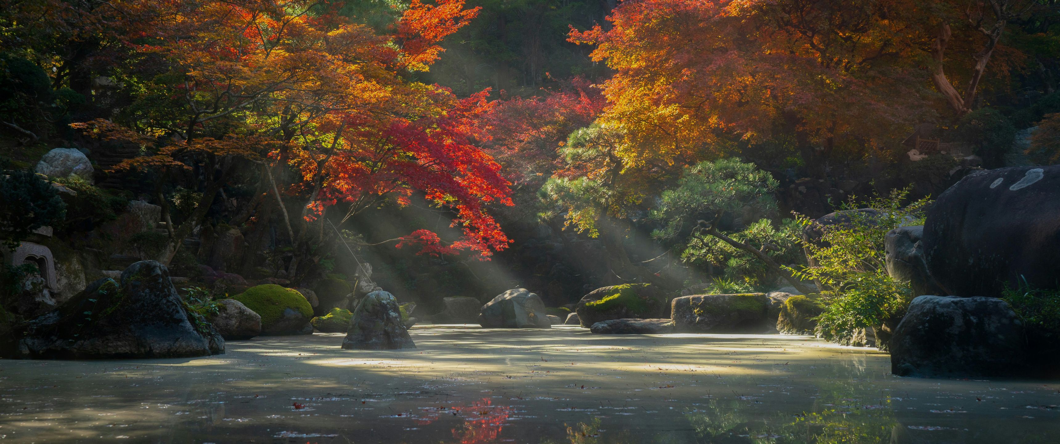 3440x1440 Autumn Radiance In A Japanese Garden UltraWide Quad HD 1440P , HD 4k Wallpaper, Image, Background, Photos and Picture