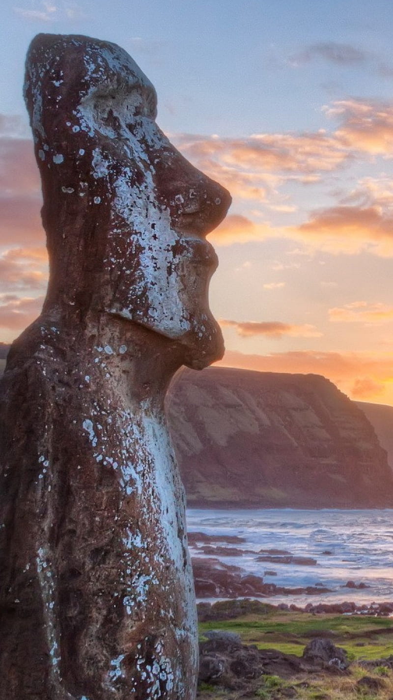 800x1425 HD rapanui wallpaper