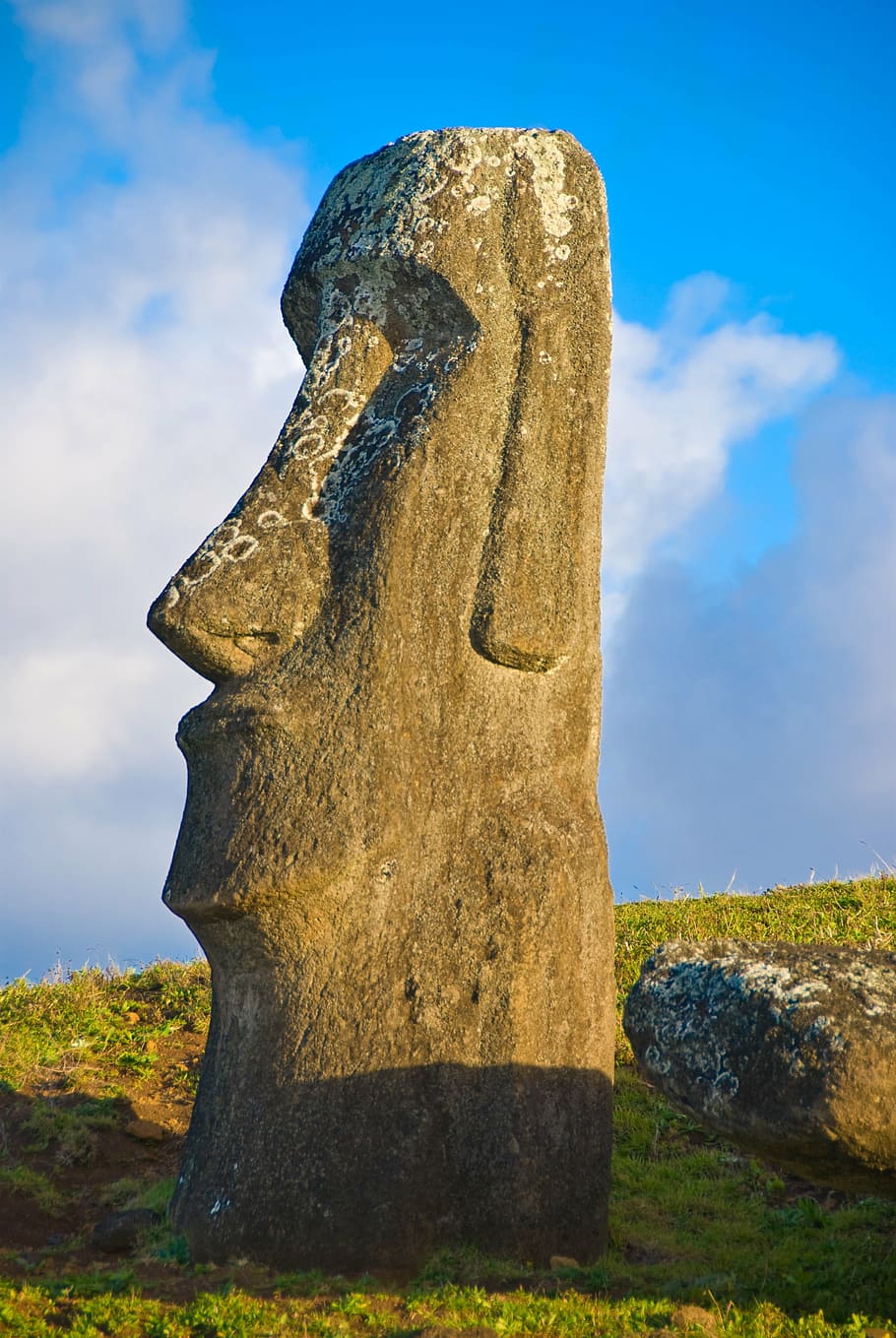 910x1359 Easter island moai 1080P, 2K, 4K, 5K HD wallpaper free download