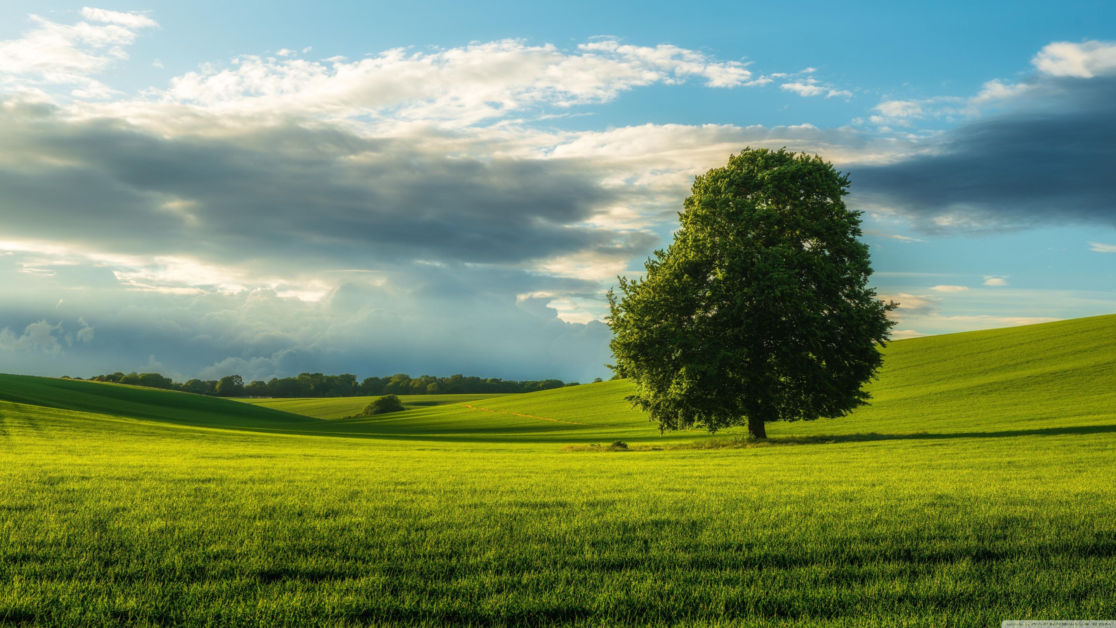 3840x2160 Summer Country Landscape 4K UHD Wallpaper for UltraHD Desktop and TV : Widescreen and UltraWide Display : Dual Monitor