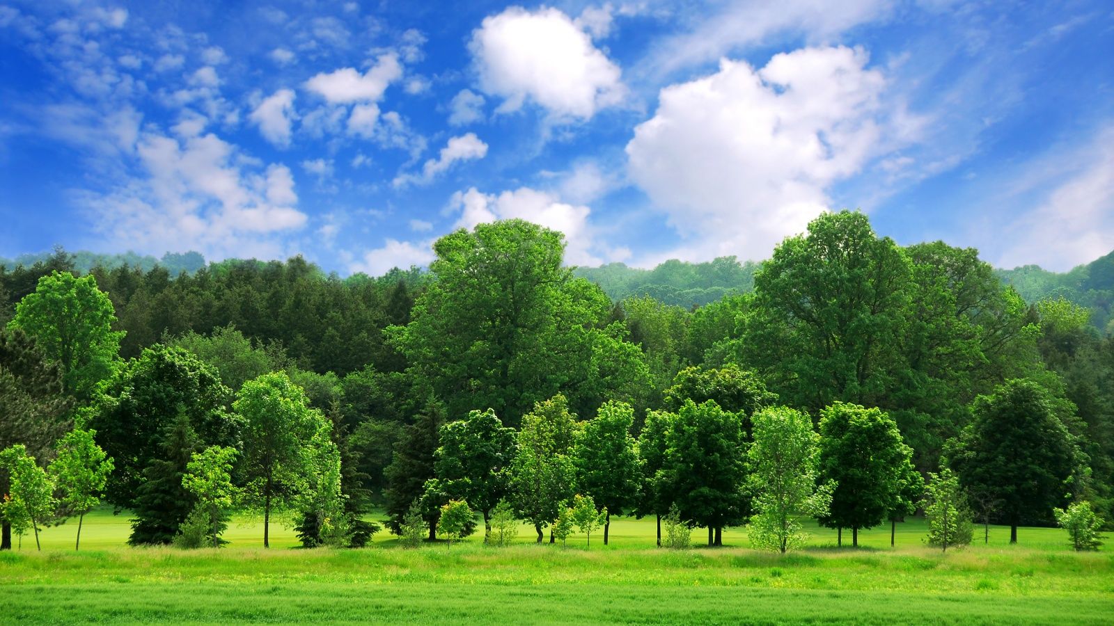 1600x900 Beautiful Summer Landscape 4K UHD Wallpaper for UltraHD Desktop and TV : Widescreen and UltraWide Display : Dual Monitor : Smartphone and Tablet Devices