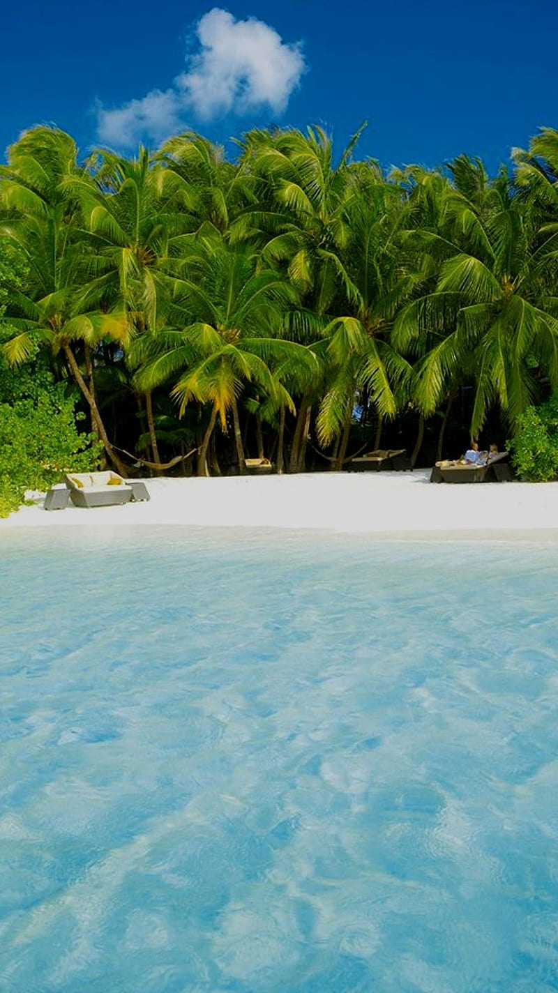 800x1424 Summer Time, maldives, sea, sun, HD phone wallpaper