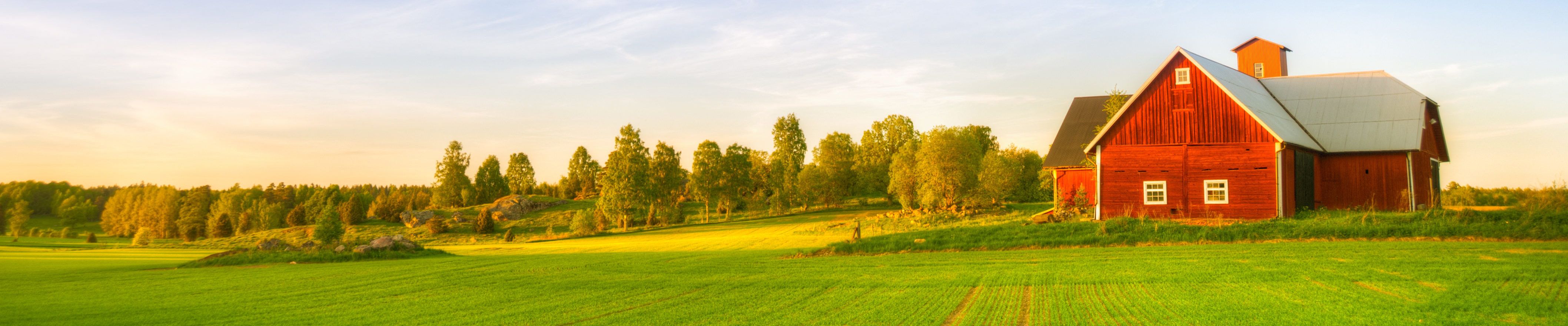 4232x880 Rural Mutual Farm Dividend Program. Wisconsin Farm Insurance