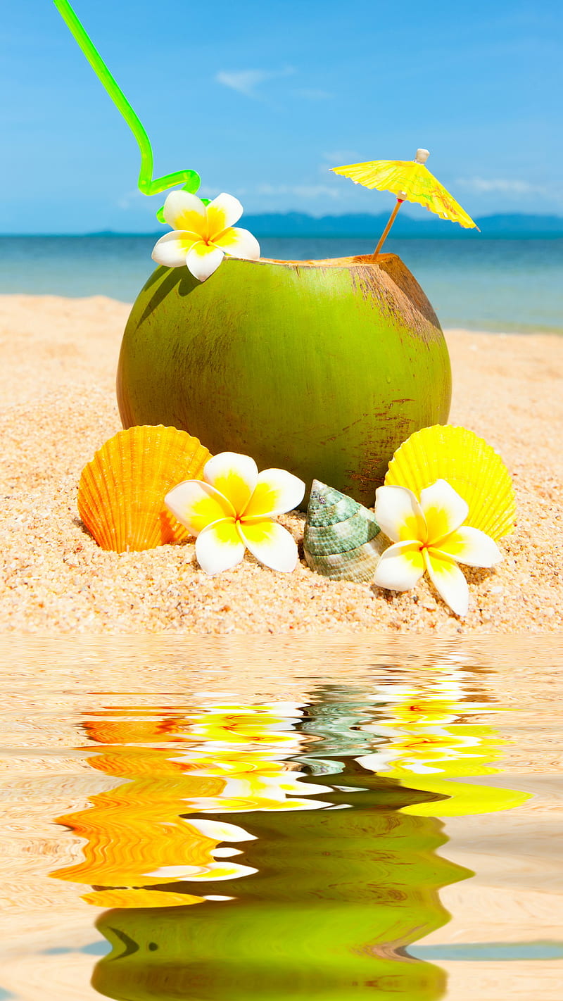800x1422 Summer, abstract, landscape, love, nature, view, HD phone wallpaper