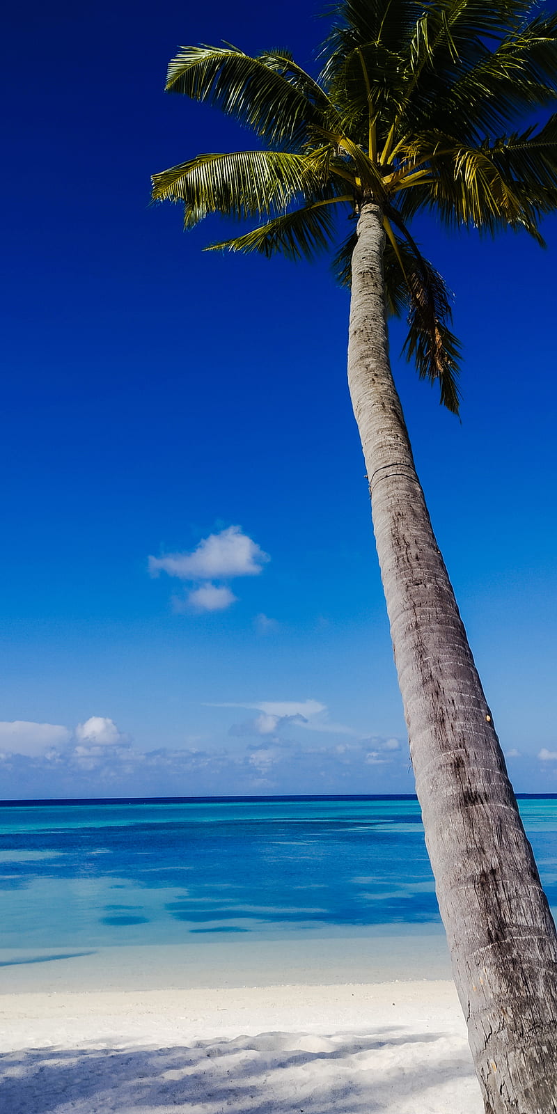 800x1600 Maldives, beach, full, landscape, ocean, summer, tropical, ultra, water, HD phone wallpaper