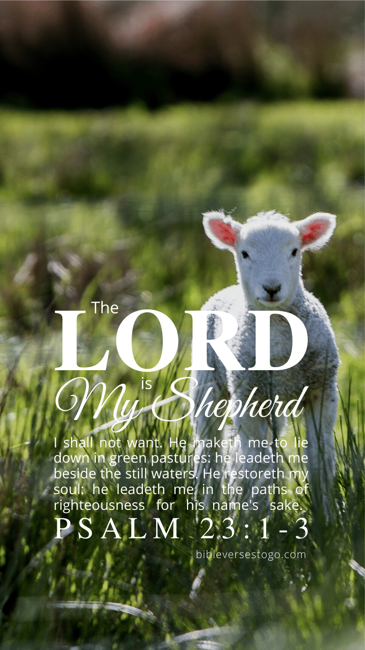 720x1280 Lamb Psalm 23:1 3