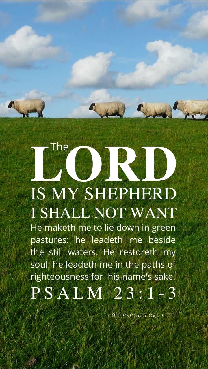 720x1280 Sheep Psalm 23:1 3