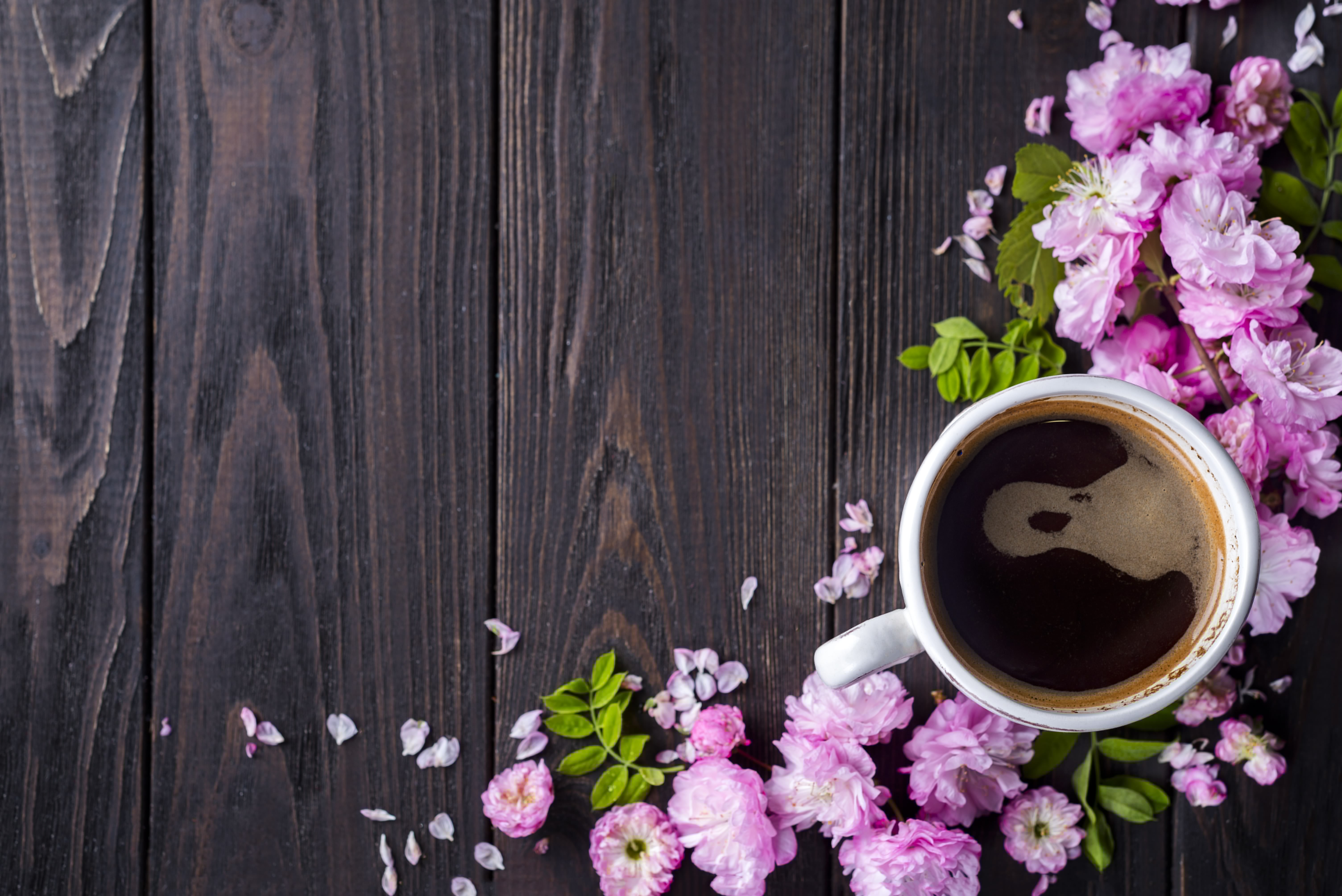 6016x4016 Wallpaper flowers, pink, wood, pink, blossom, flowers, coffee cup, a Cup of coffee for mobile and desktop, section цветы, resolution 6016x4016