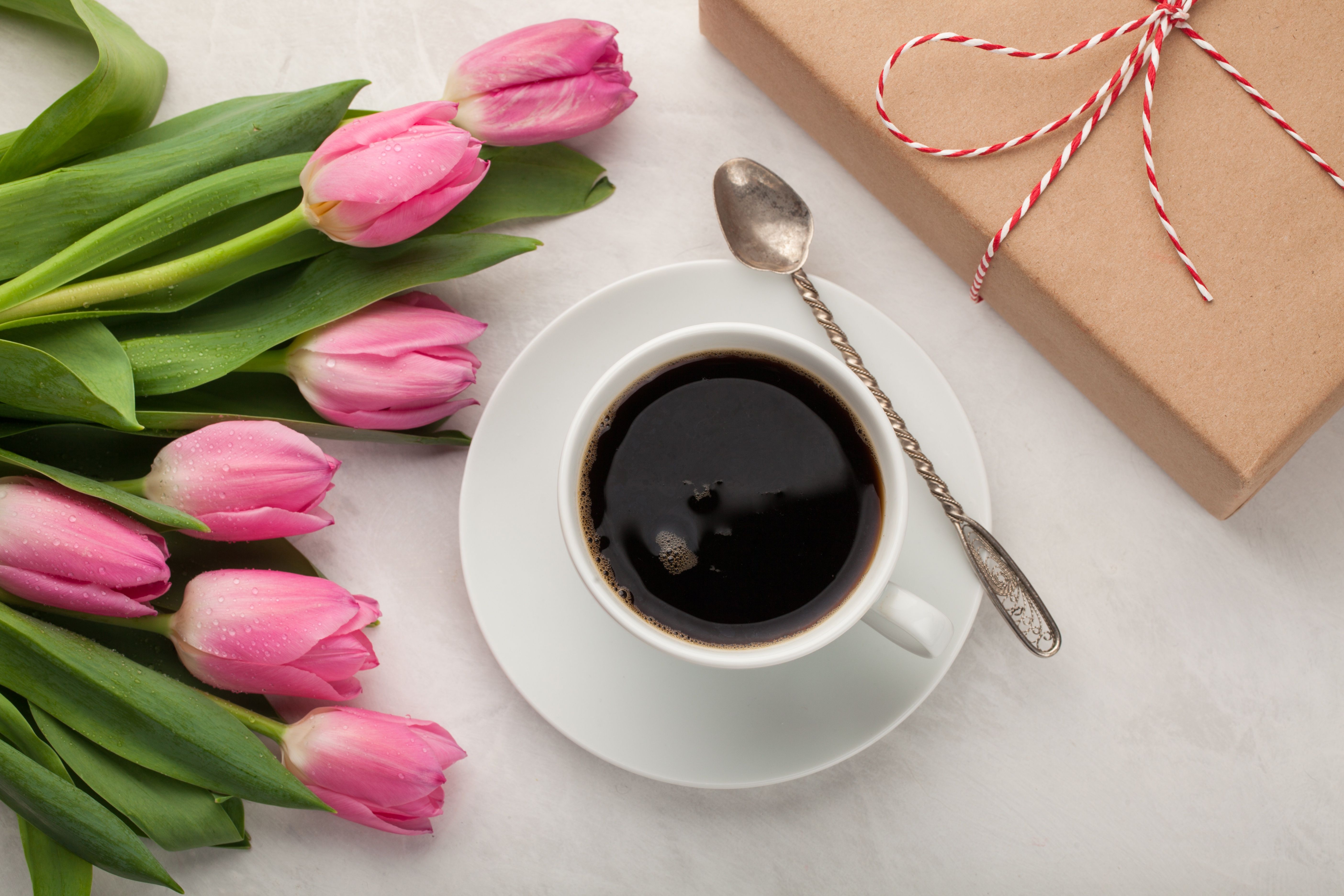 5616x3744 Desktop wallpaper: Cup, Coffee, Food, Flower, Pink Flower, Still Life, Tulip 4K free download for PC. 942014