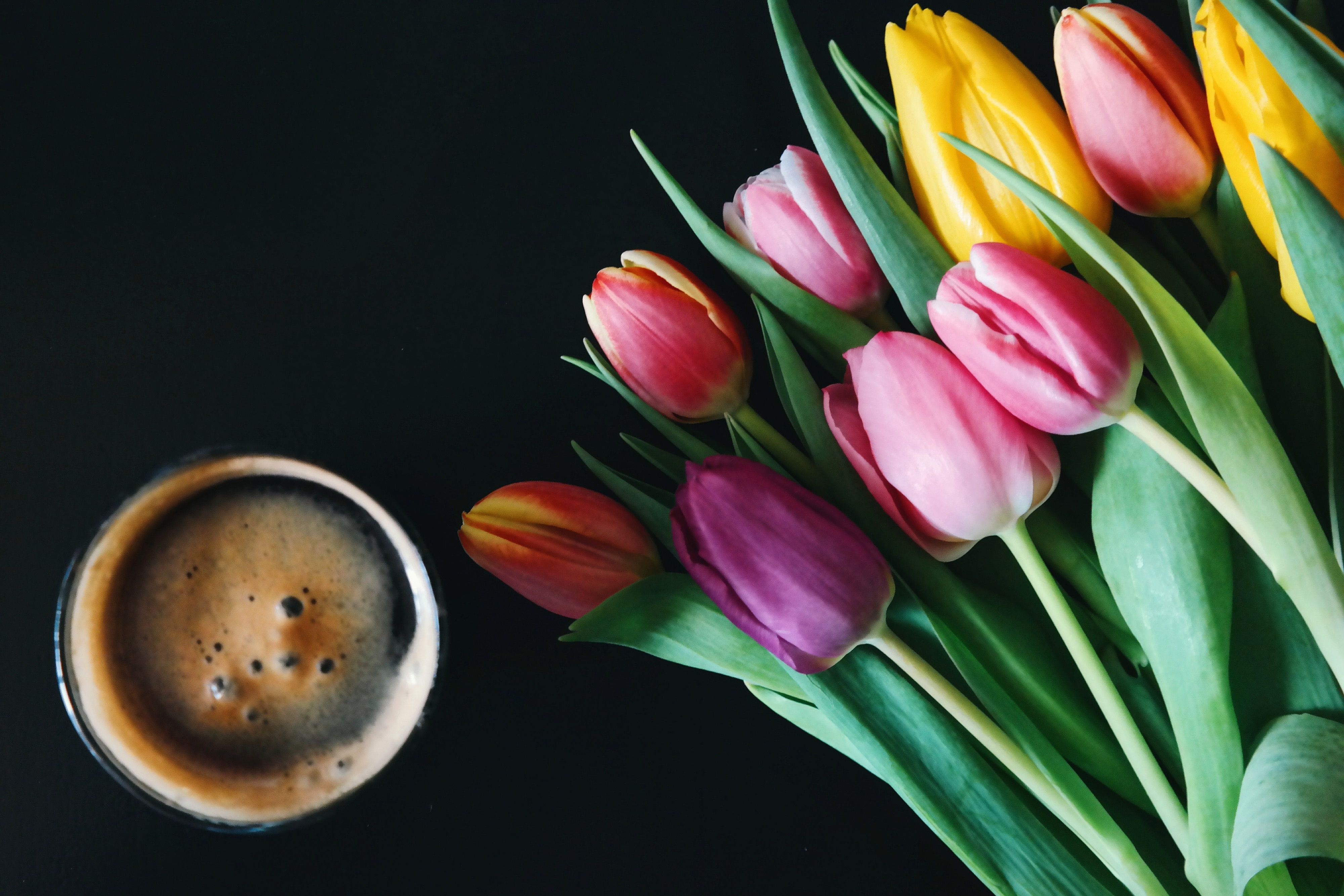 4000x2667 Coffee & Tulips Flowers Royalty Free