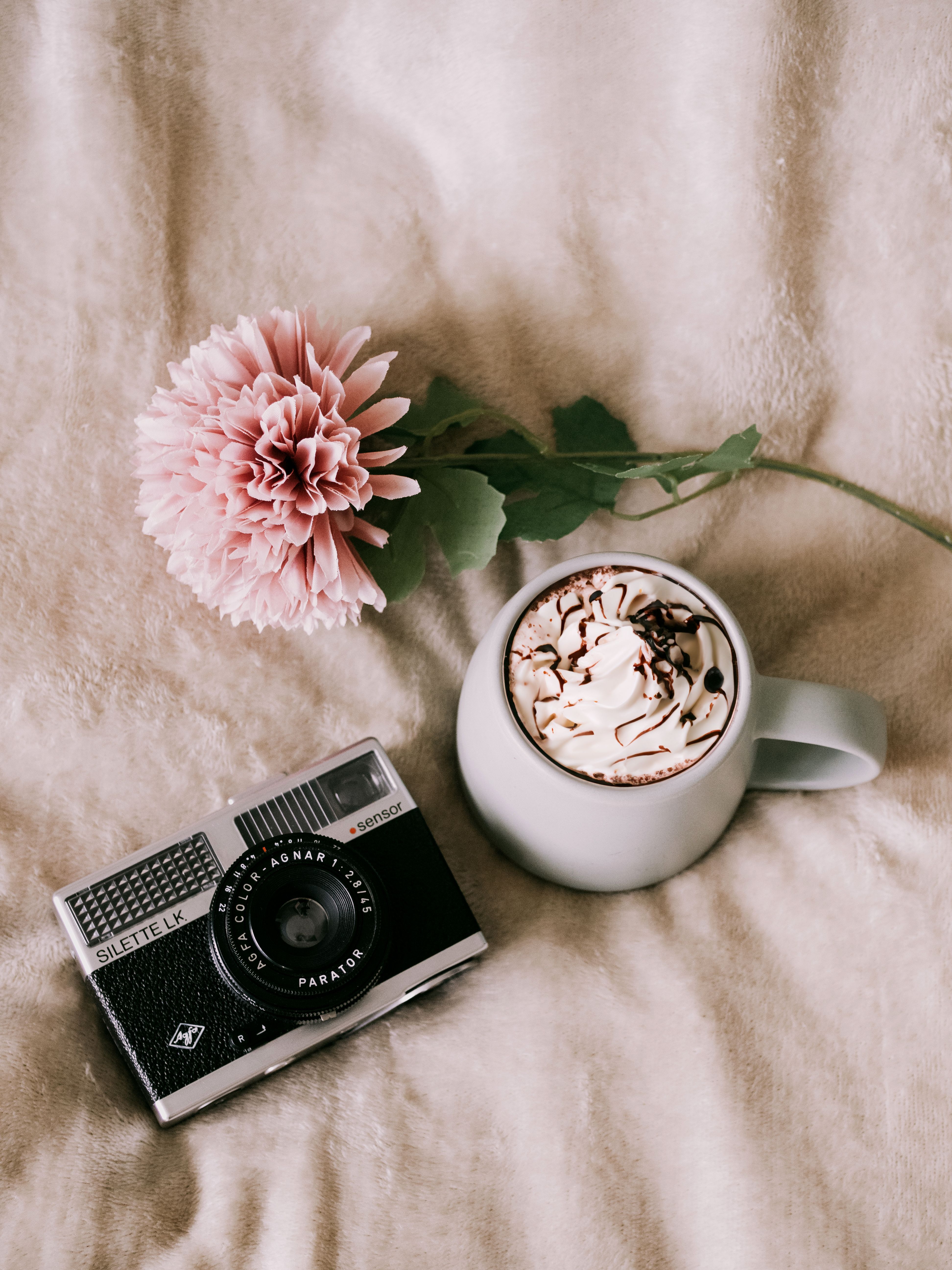 3888x5184 Coffee Cup near Flower and Camera · Free
