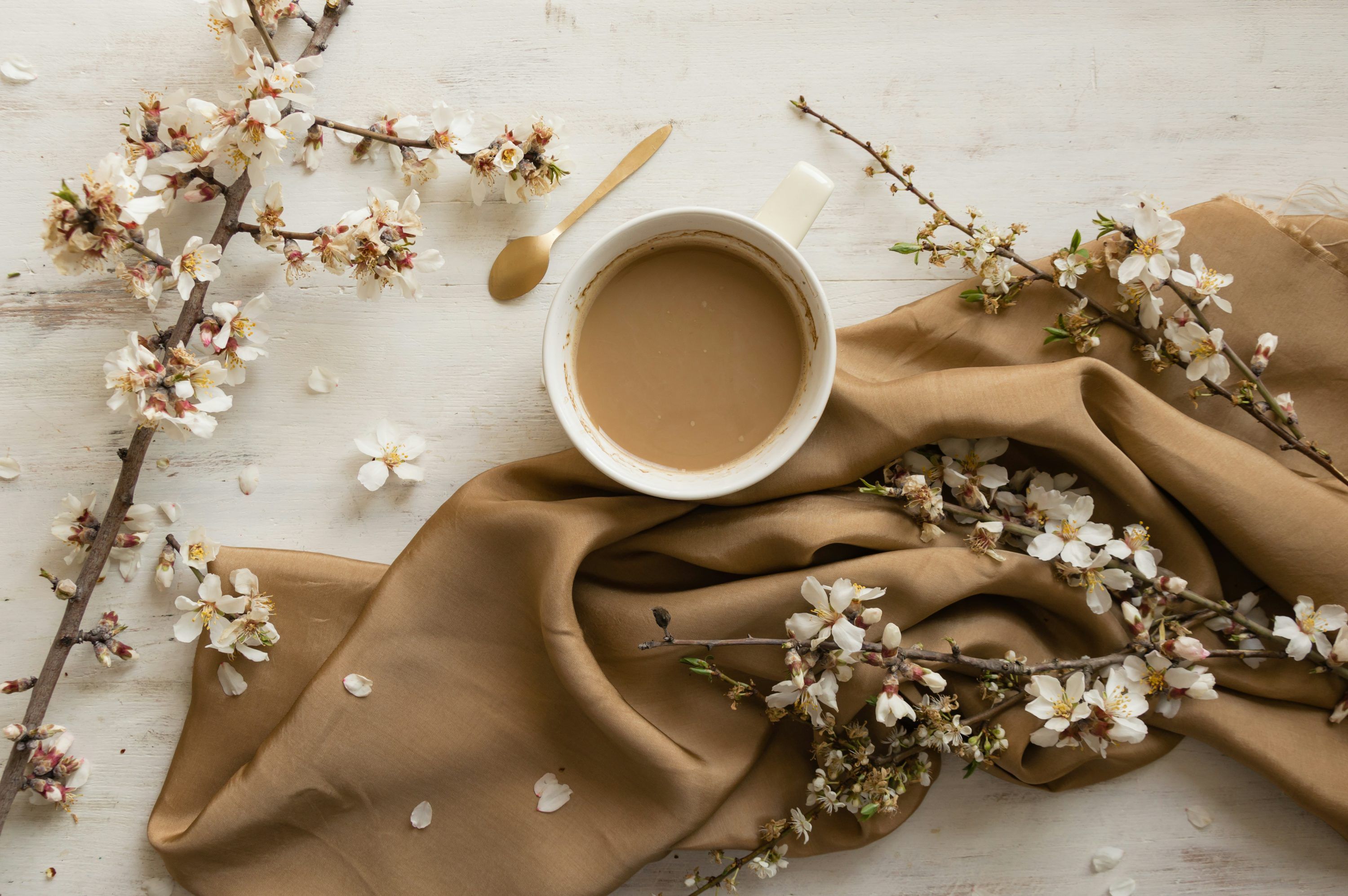 3000x1995 A cup of coffee sits on top of a table photo