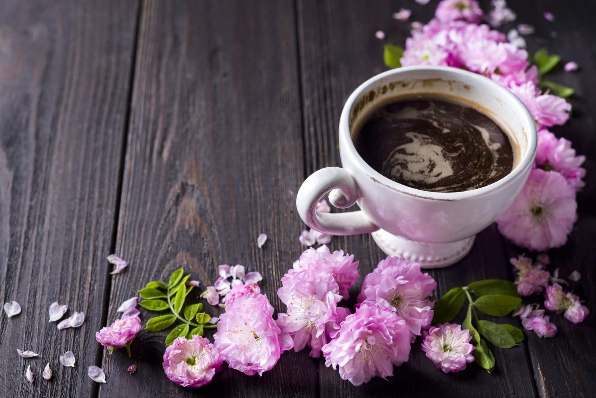 1920x1282 Download Pink Flower Drink Cup Flower Food Coffee 4k Ultra HD Wallpaperx4016