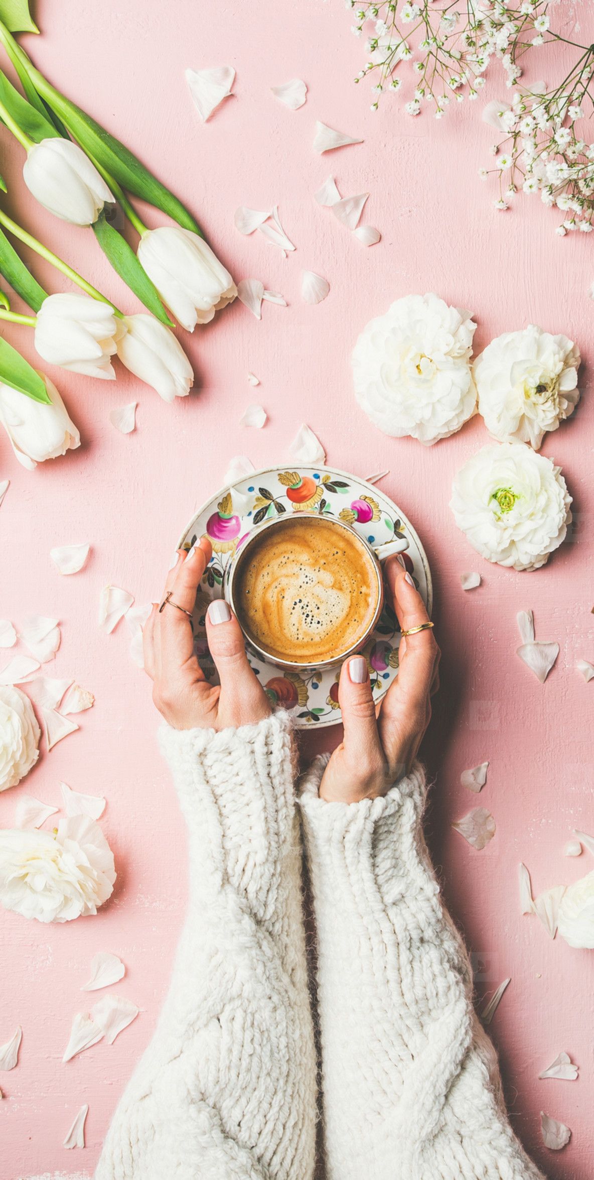 1184x2350 Spring Layout With Coffee In Female Hands And White Flowers Photo