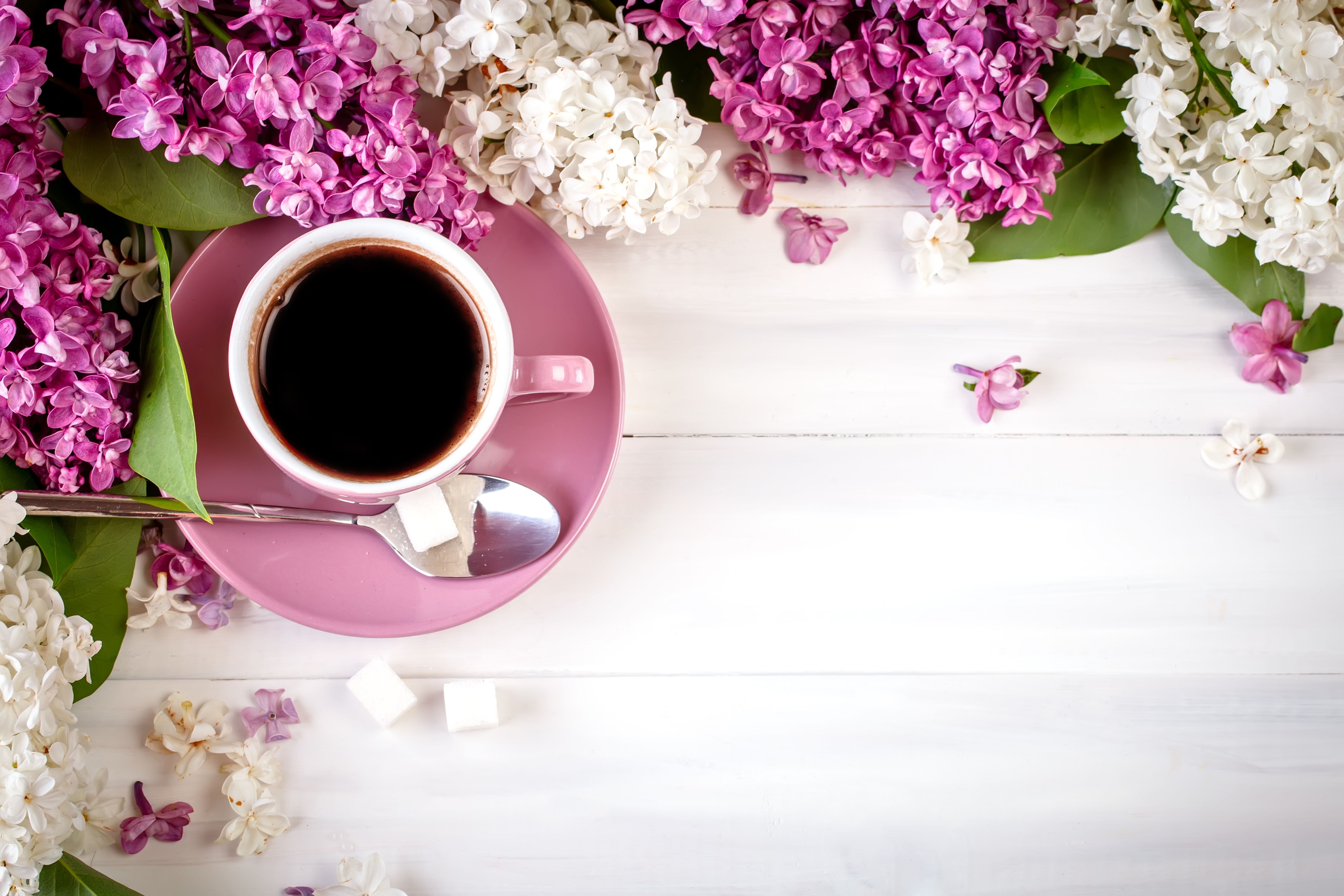 5049x3366 Wallpaper flowers, wood, flowers, lilac, coffee cup, lilac, a Cup of coffee for mobile and desktop, section цветы, resolution 5049x3366