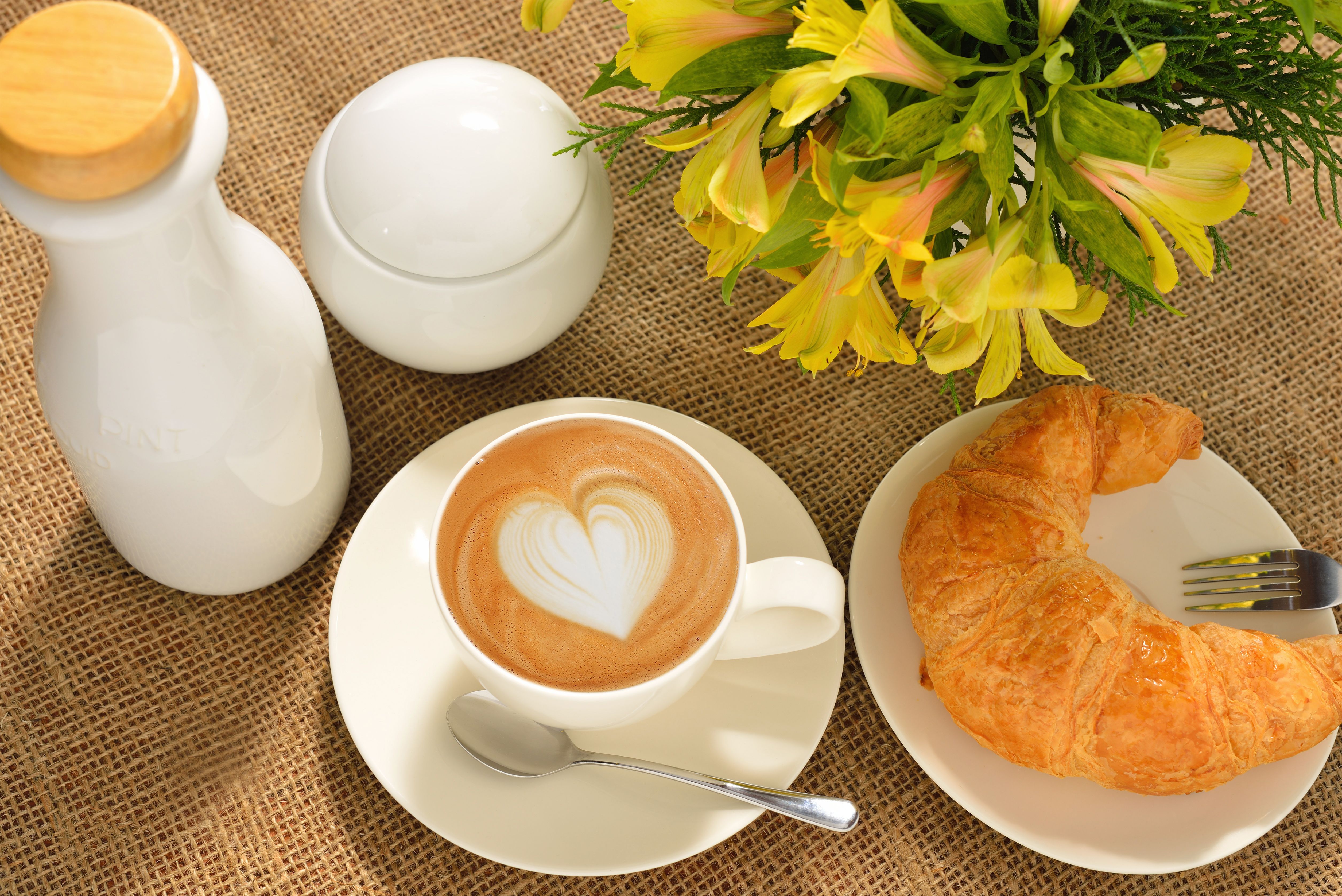5022x3353 Cup of Coffee Flowers and Croissant Background​-Quality Free Image and Transparent PNG Clipart