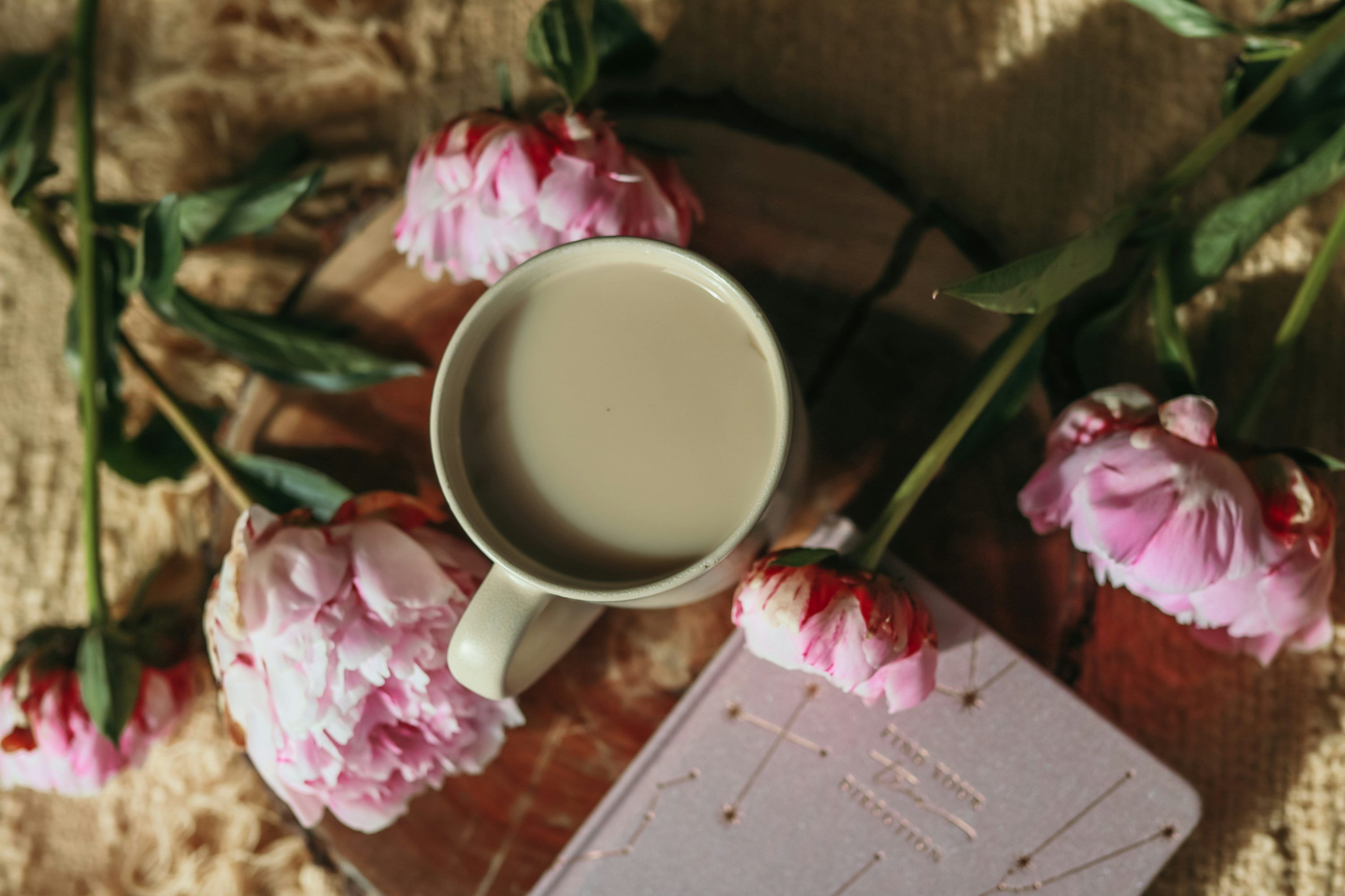 3000x2000 A cup of coffee and some pink flowers photo