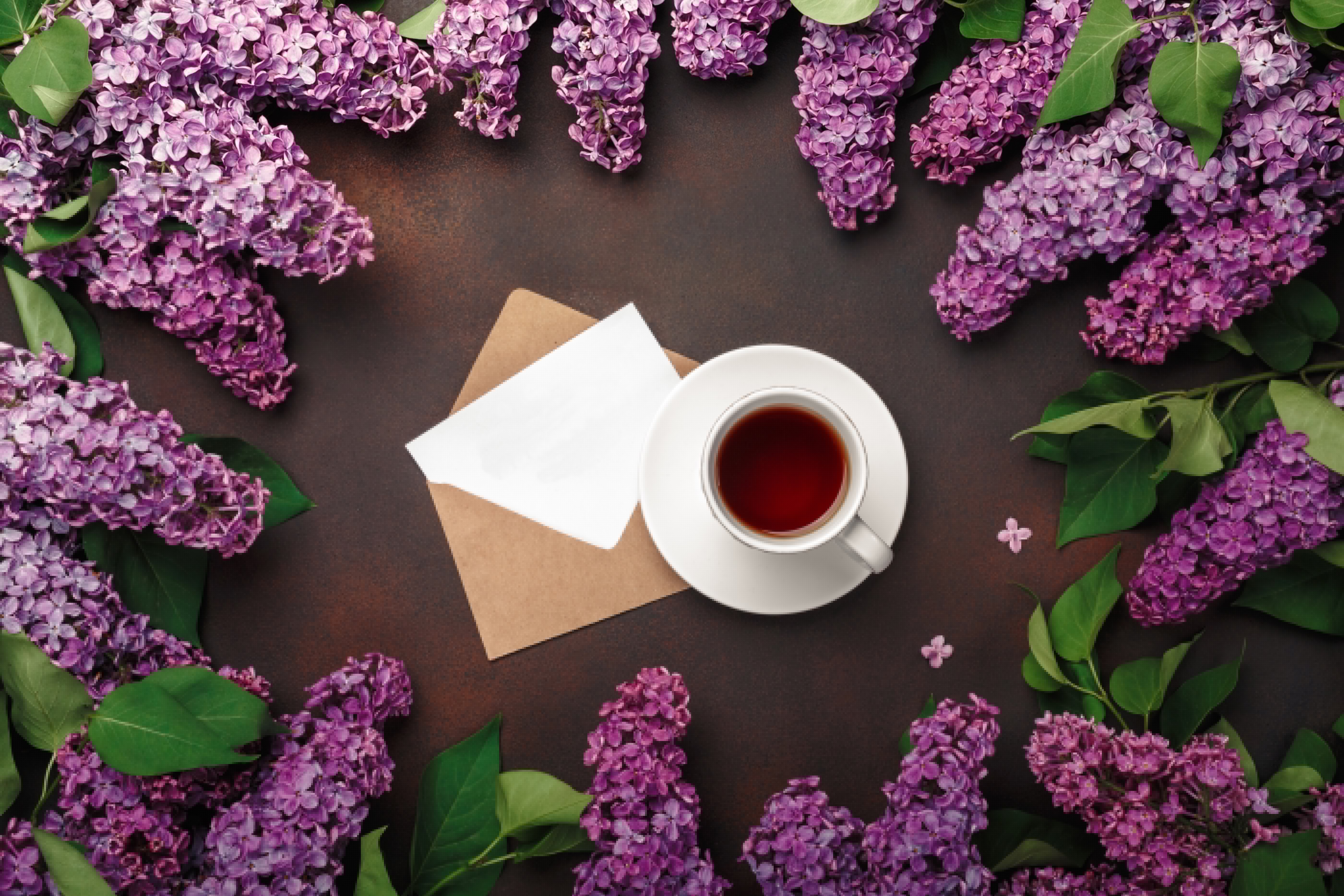 5601x3734 Wallpaper flowers, flowers, lilac, romantic, coffee cup, spring, purple, lilac for mobile and desktop, section цветы, resolution 5601x3734