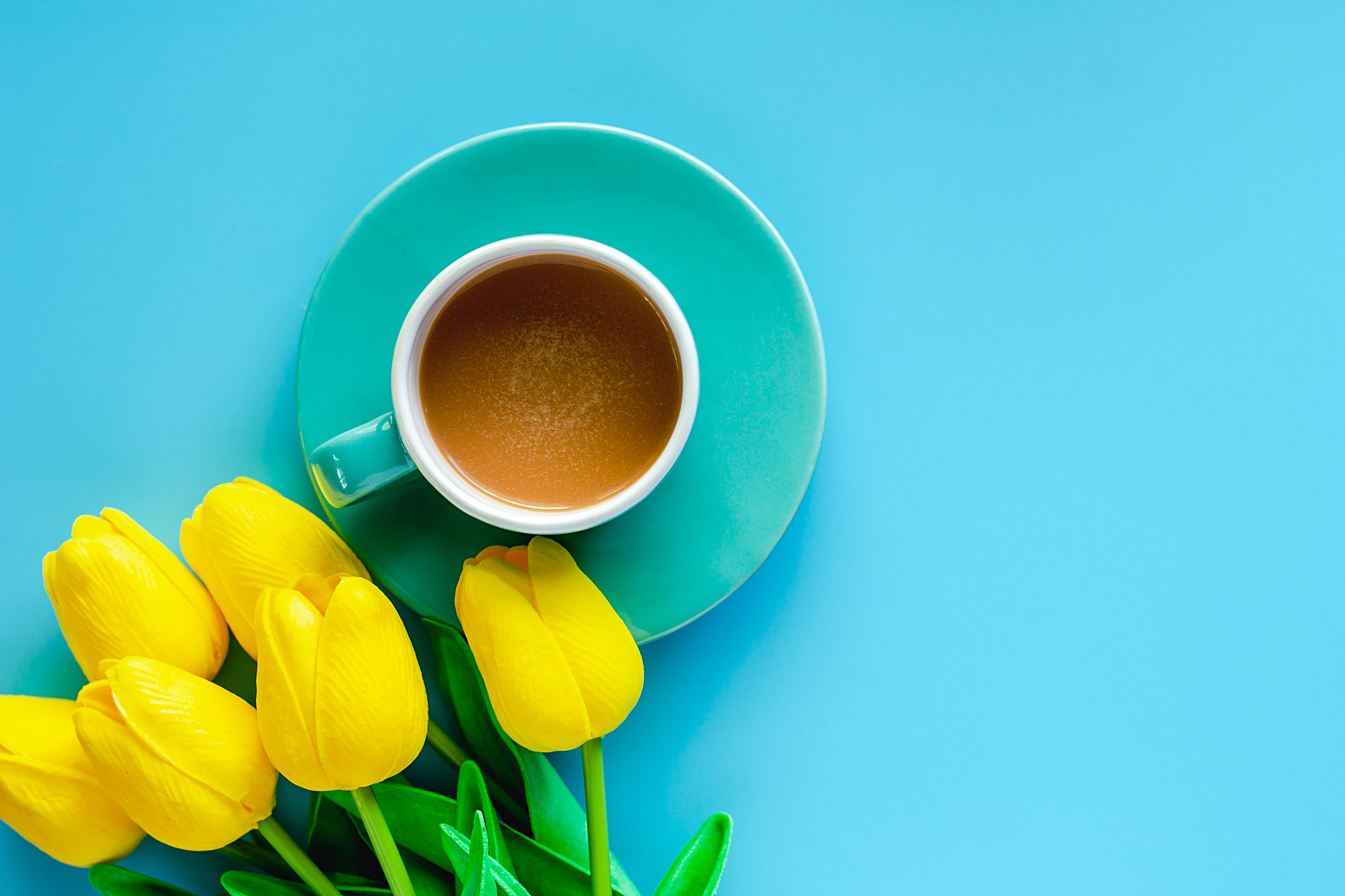 4272x2848 Desktop wallpaper: Cup, Food, Coffee, Flower, Tulip, Yellow Flower 4K free download for PC. 942294