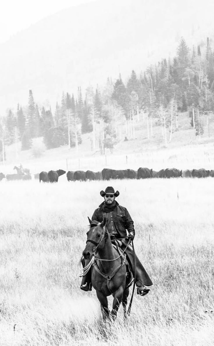 736x1193 Cole Hauser as Rip Wheeler in Yellowstone TV Show and White Photograph