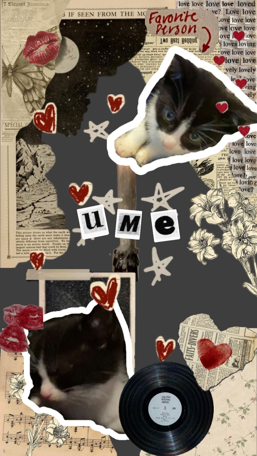 1080x1920 My cat