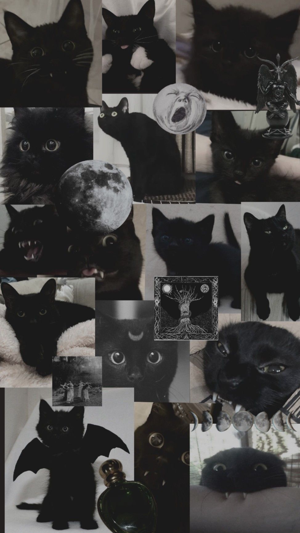 974x1732 Y2k Black Cat Wallpaper