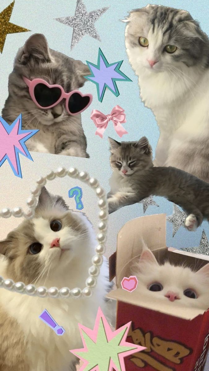 675x1200 Cat wallpaper aesthetic lockscreen. Y2k cats wallpaper, Cute wallpaper, Lock screen