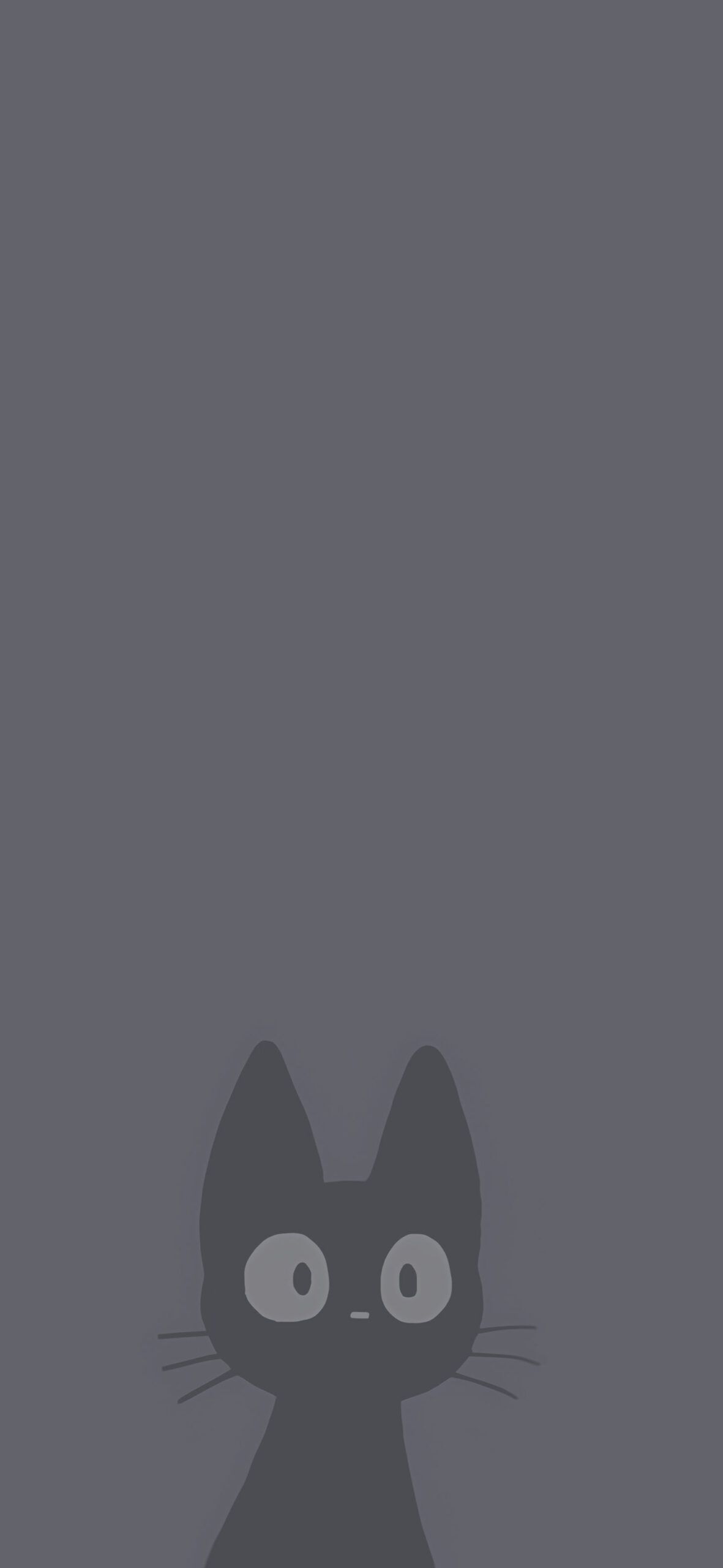 1181x2560 Curious Cat on Gray Background Wallpaper Kitty Wallpaper