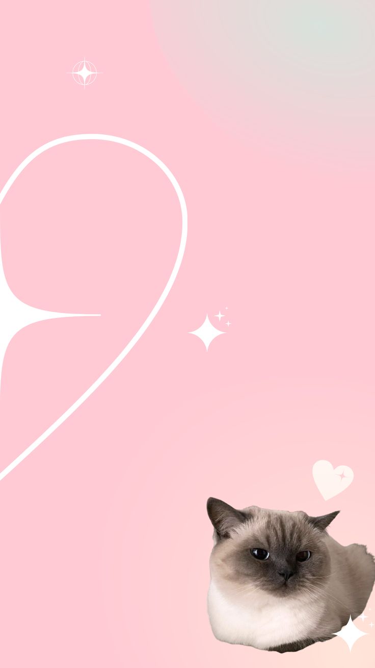 736x1308 Wallpaper match kitty y2k pink cute 1