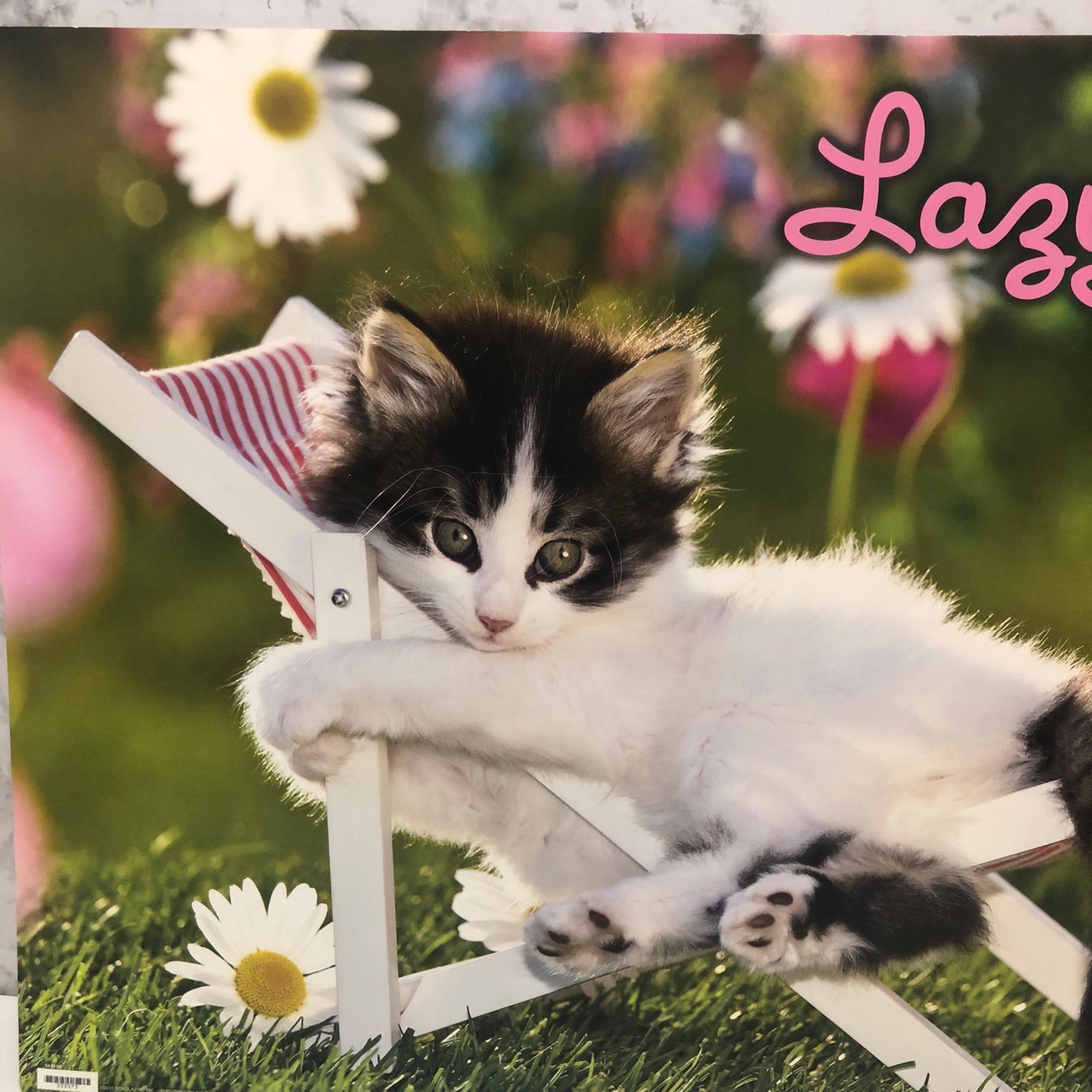 2560x2560 Y2K 2010s Scholastic Lazy Days Kitten 18x24