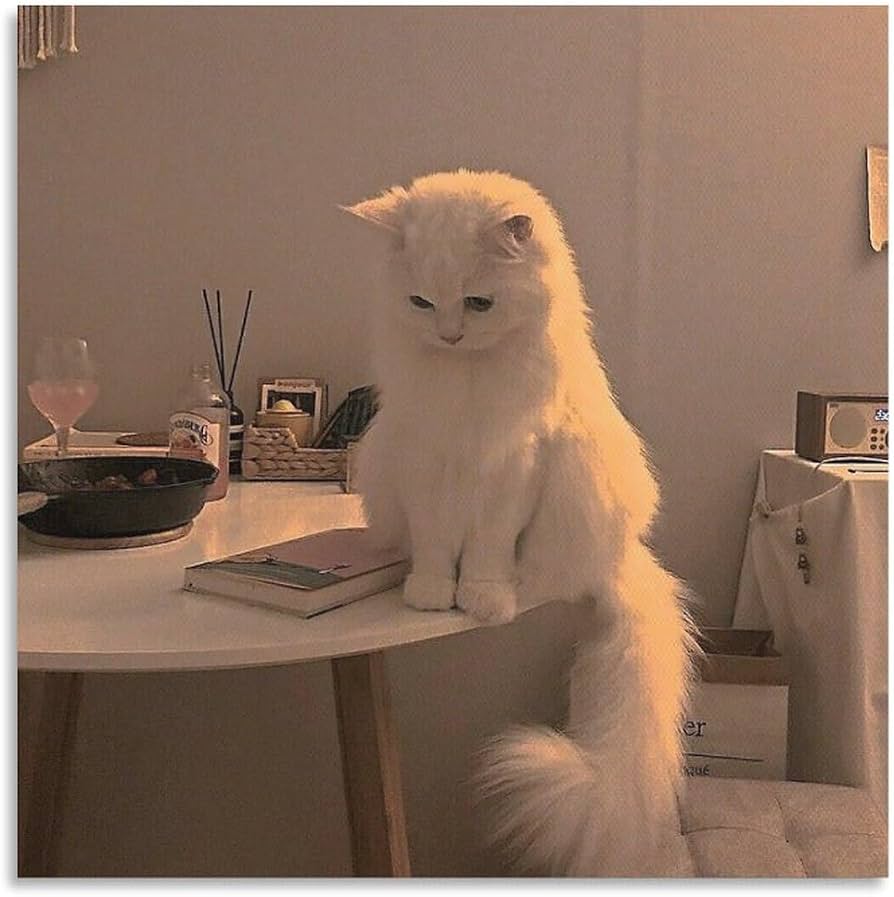 894x897 Amazon.co.jp: Painting White Cat Sitting on Table Decor Painting Y2k Aesthetic Style Cute Funny Animals Anime Aesthetics Art Panel Wall Picture Poster