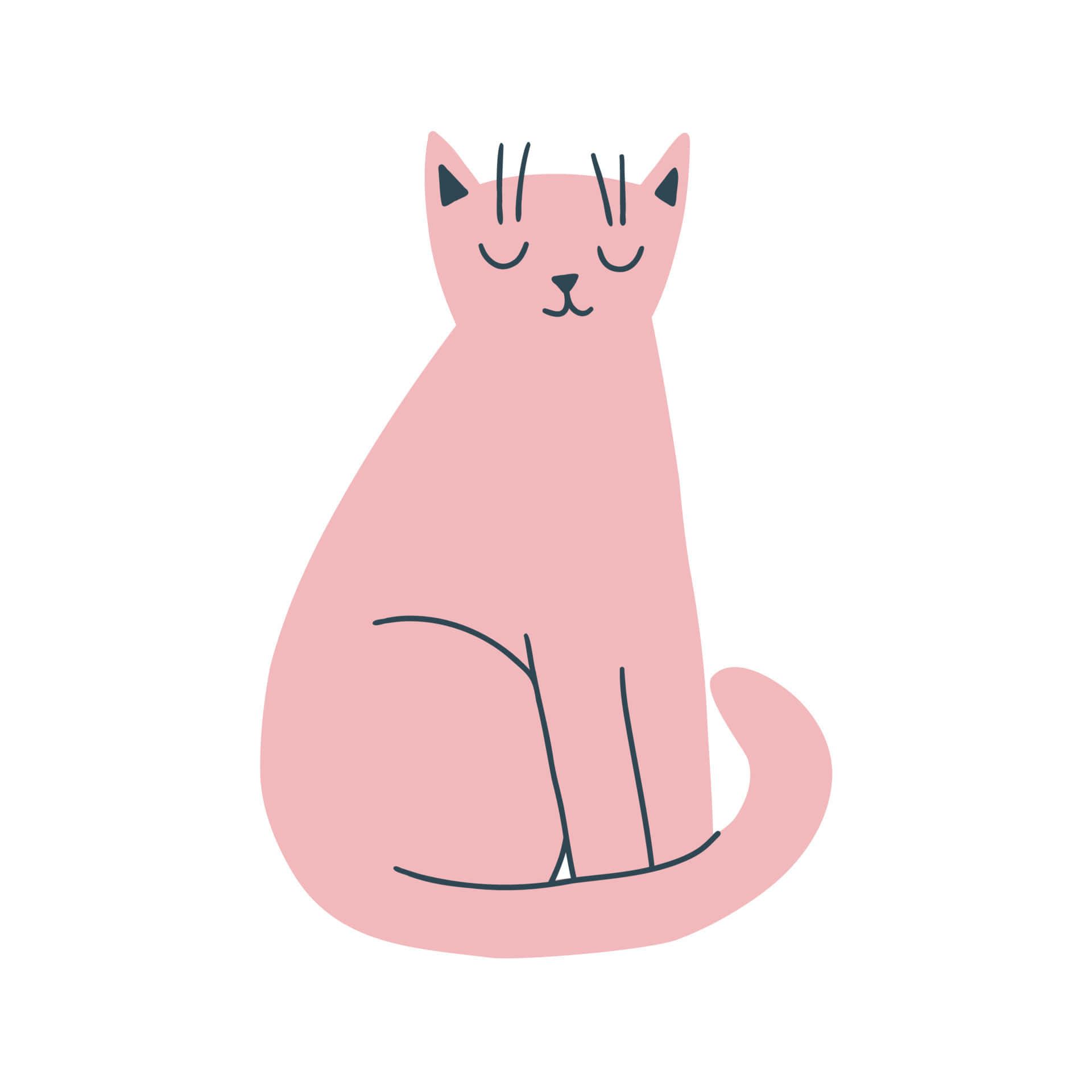 1920x1920 Cute Pink Cat Wallpaper