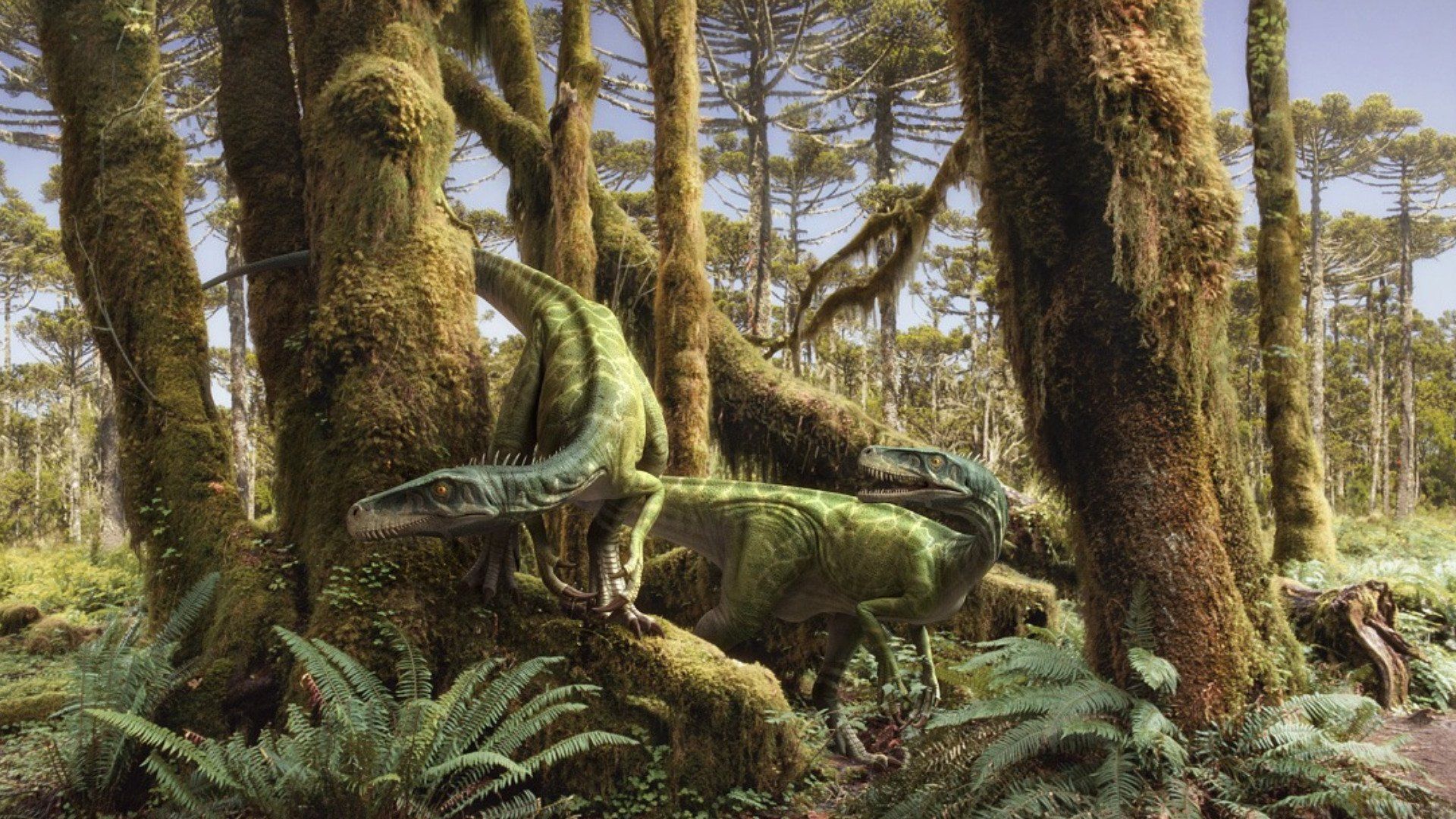 1920x1080 Majestic Forest Dinosaurs Wallpaperx1080