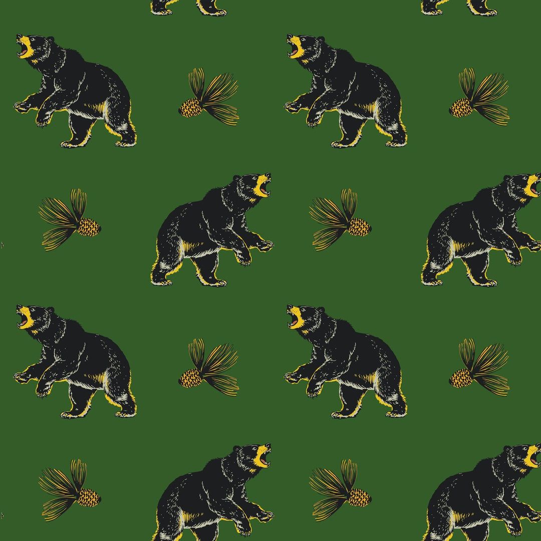 1080x1080 Roaming Black Bear Forest Green Wallpaper