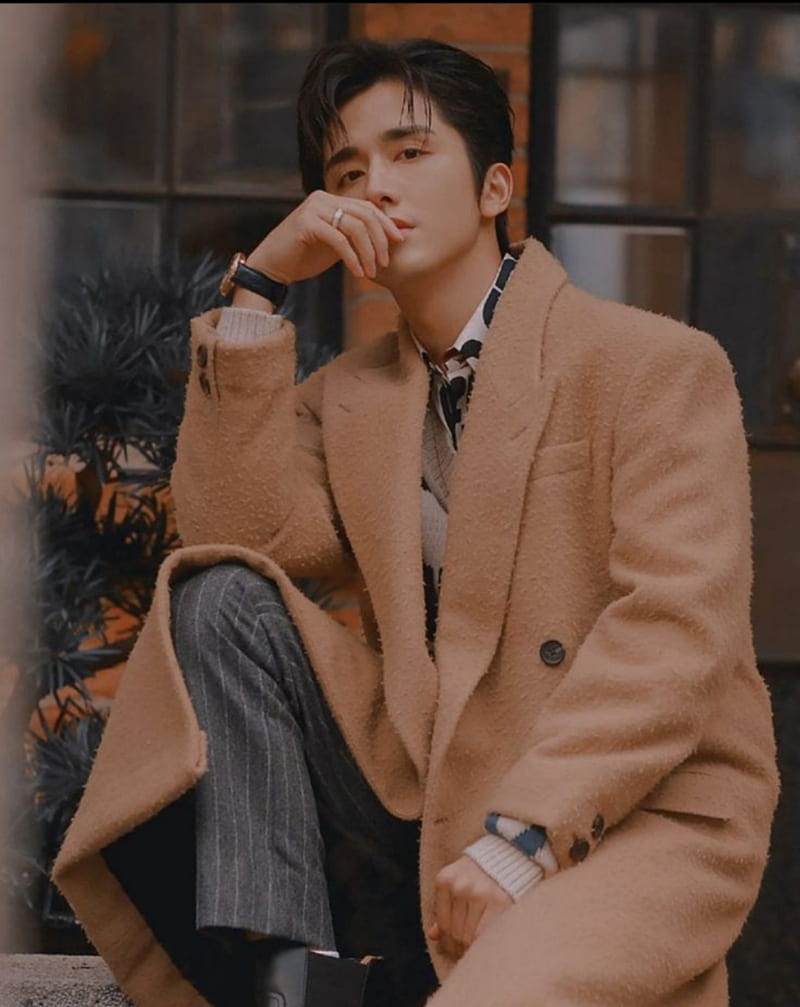 800x1007 Zhang xincheng, chino, coreano, HD phone wallpaper