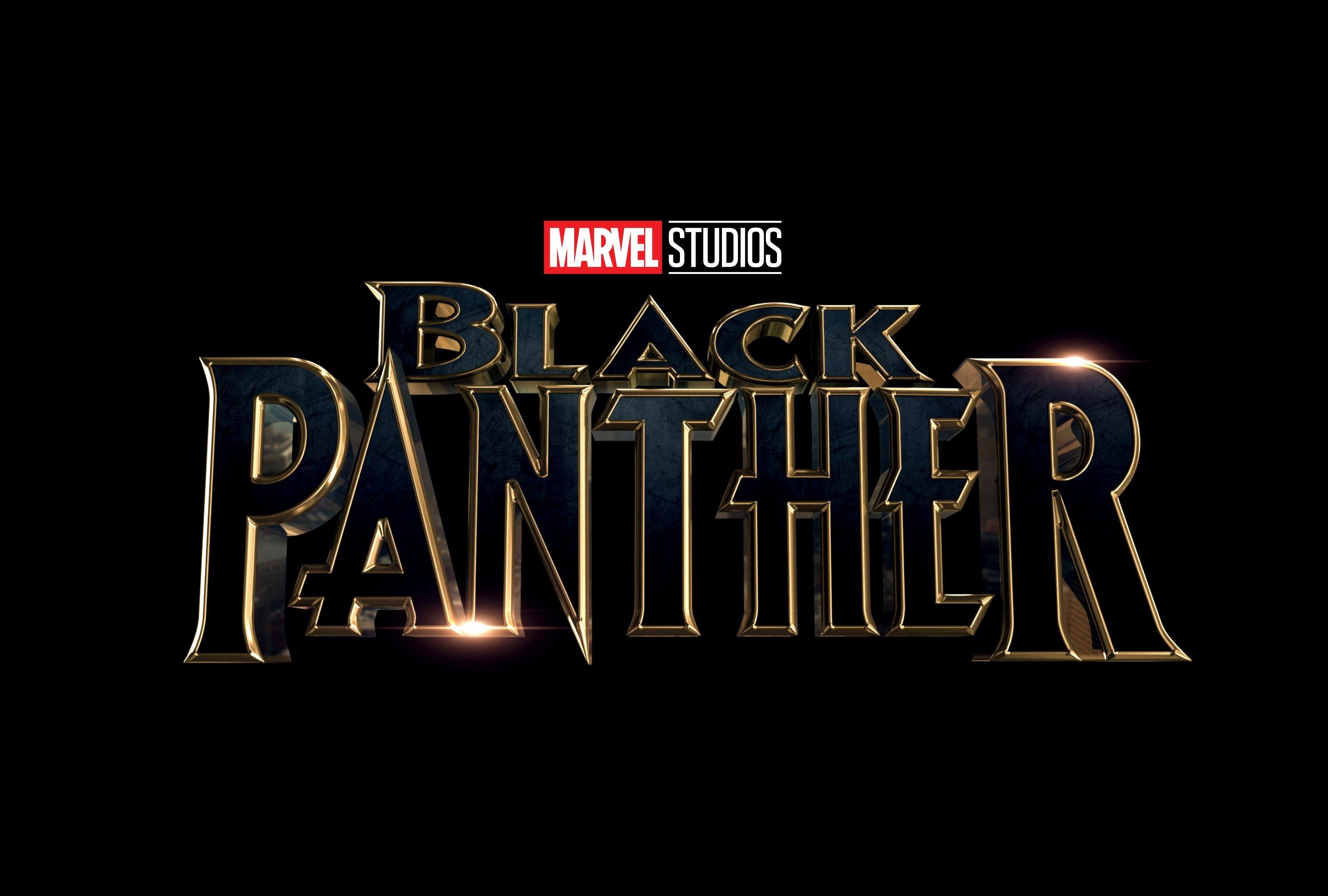 3000x2025 Black Panther Wallpaper, Picture, Image