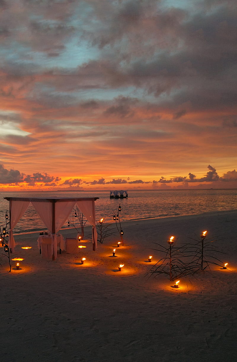 800x1221 Dinning by Design, 2021 love new year, beach, dinner, dinning, luxury, sunset, HD phone wallpaper