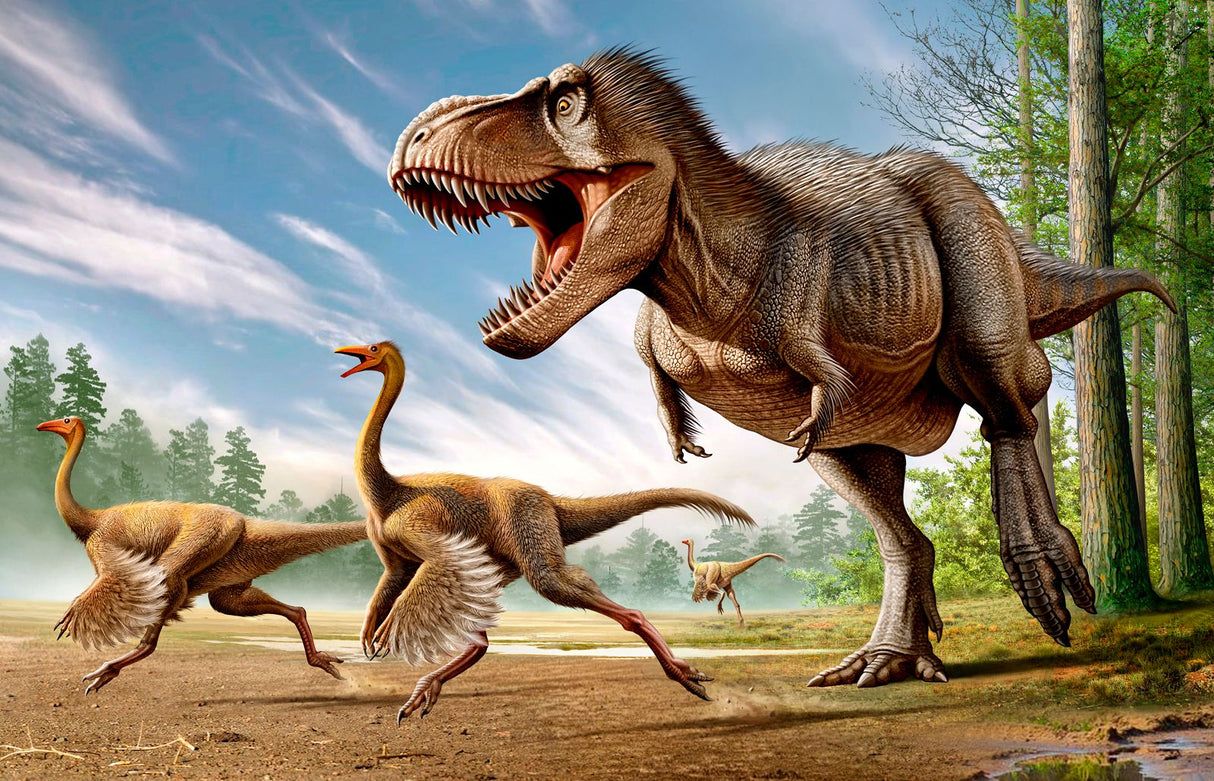 1214x781 Dinosaur Mural Wallpaper. T Rex Jurassic Forest Scene