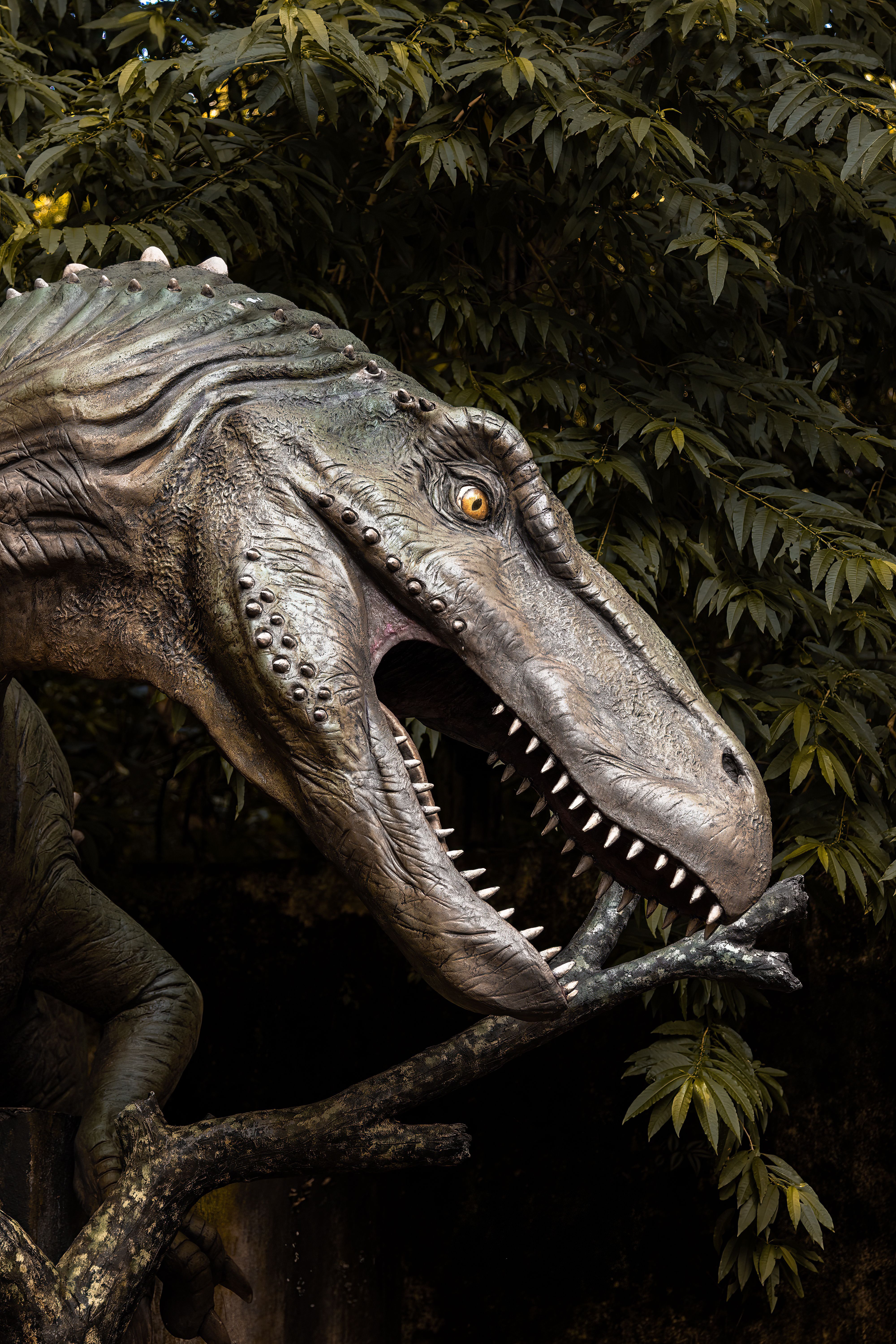 4000x6000 Jurassic Park Wallpaper Photo, Download The BEST Free Jurassic Park Wallpaper & HD Image