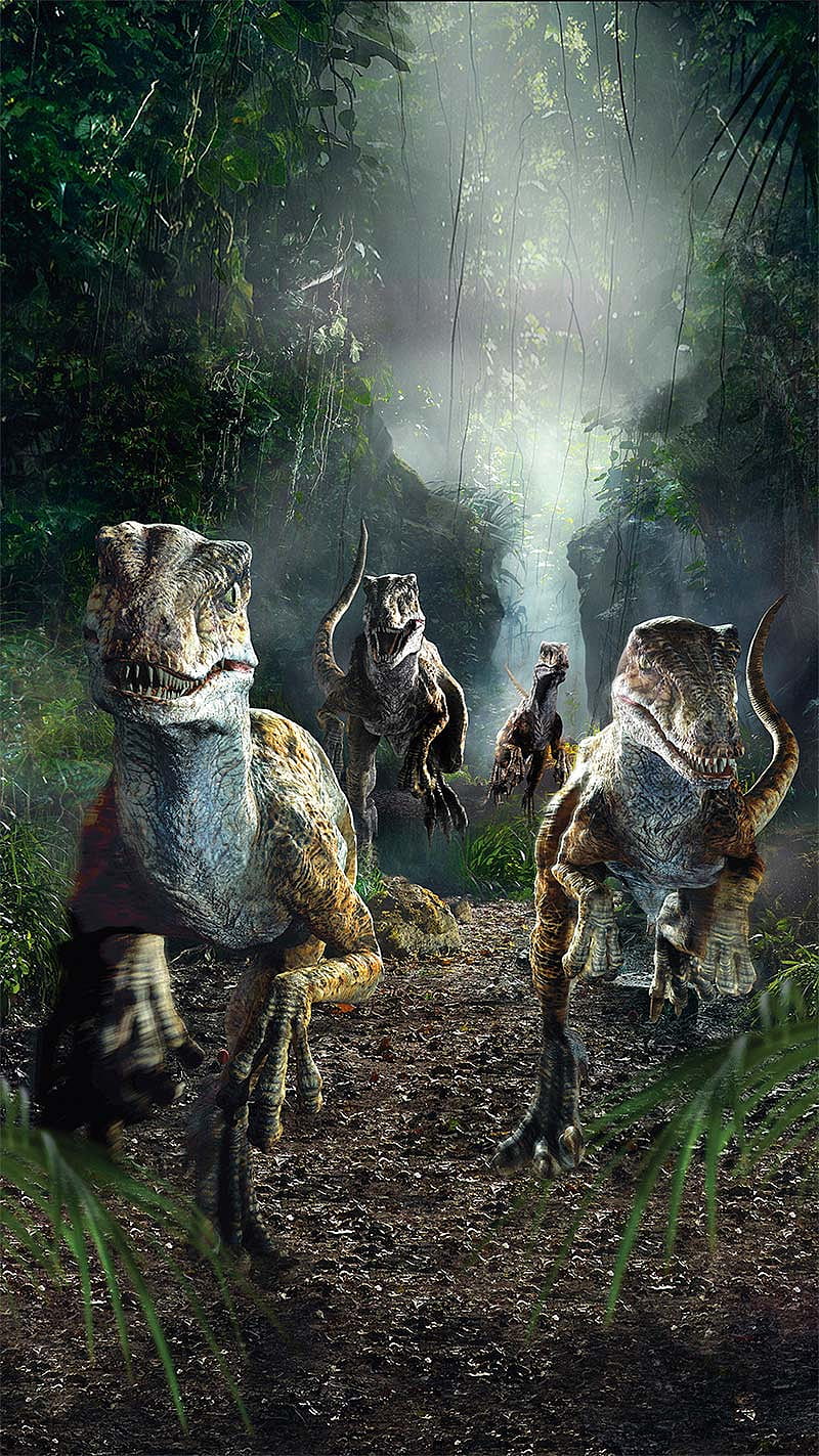 800x1423 Raptor Pack, dinosaurs, jurassic park, jurassic world, raptors, velociraptor, HD phone wallpaper