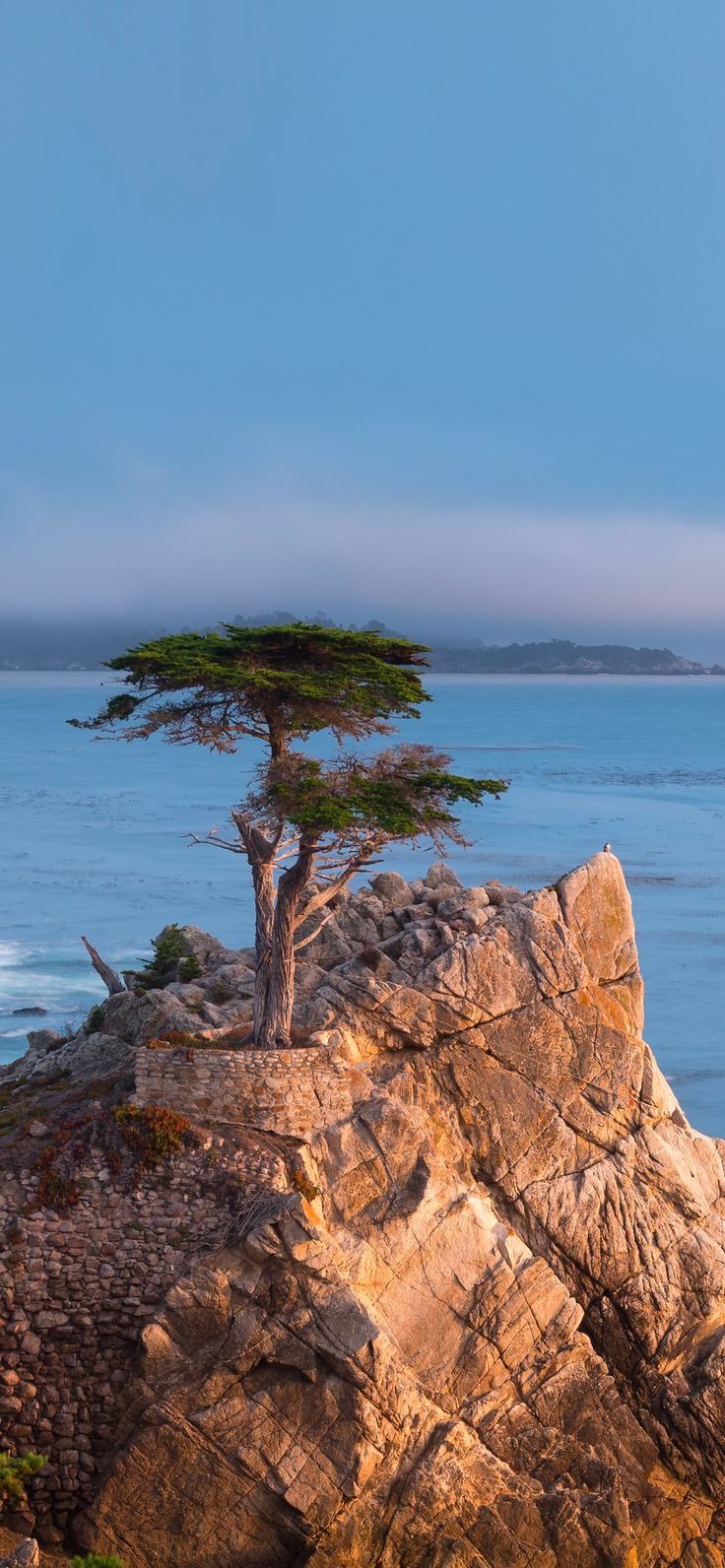736x1592 macOS Monterey (unOfficial Wallpaper)